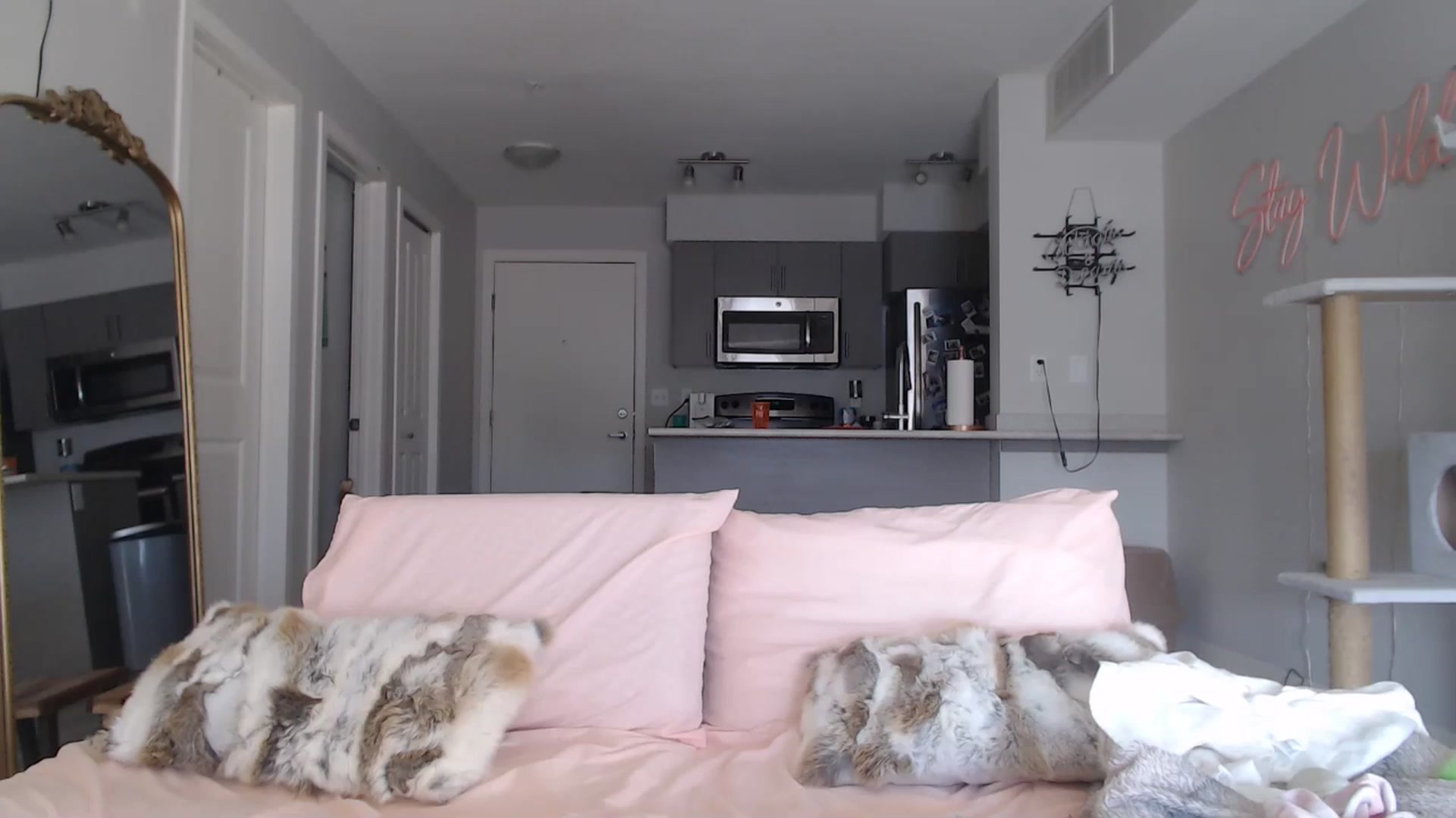 Gallery image thumbnail from AlexisWildest's myfreecams stream on, 03/15/2025, 22:14 image 18 of 20