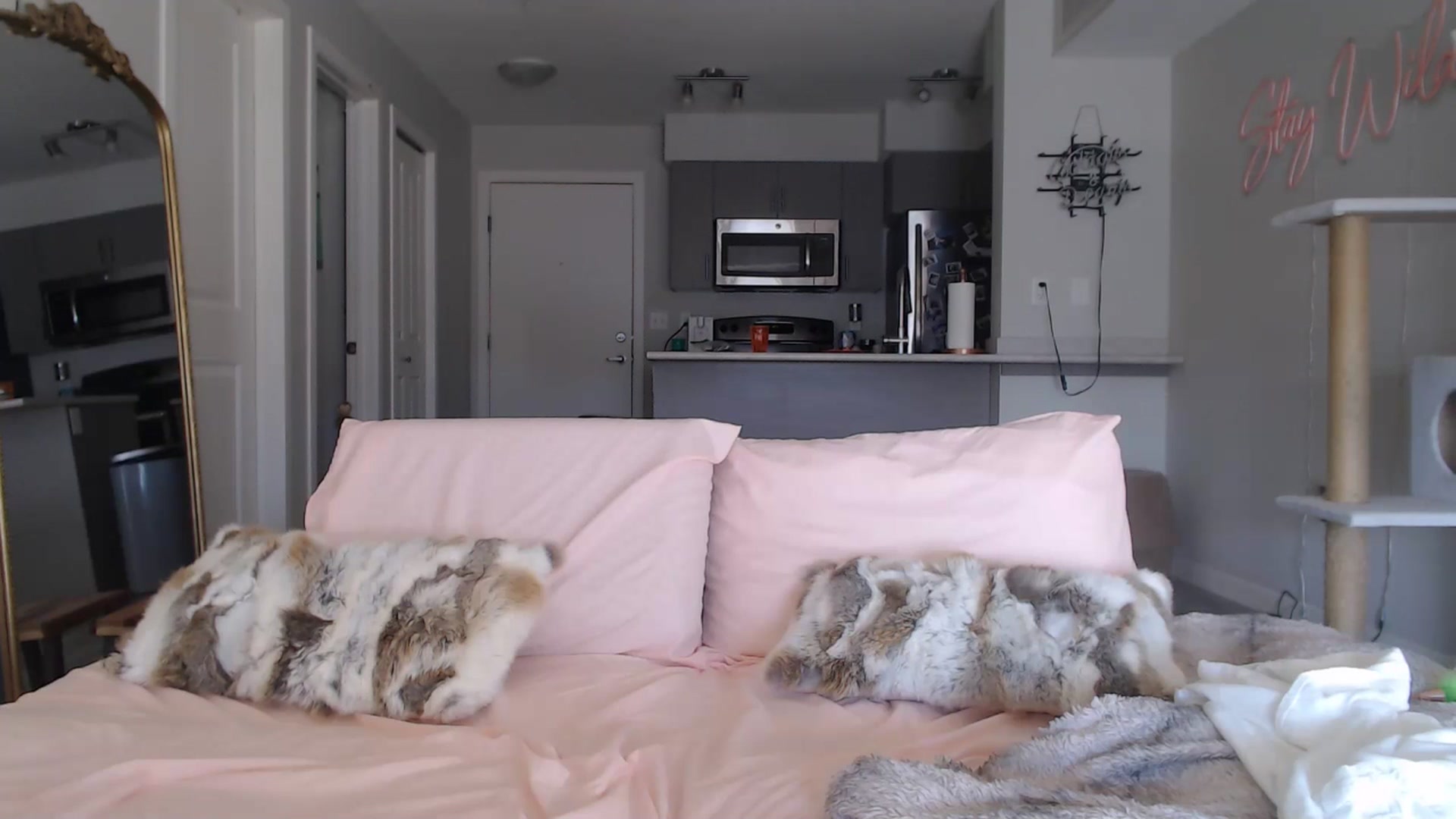 Gallery image thumbnail from AlexisWildest's myfreecams stream on, 03/15/2025, 22:52 image 4 of 20