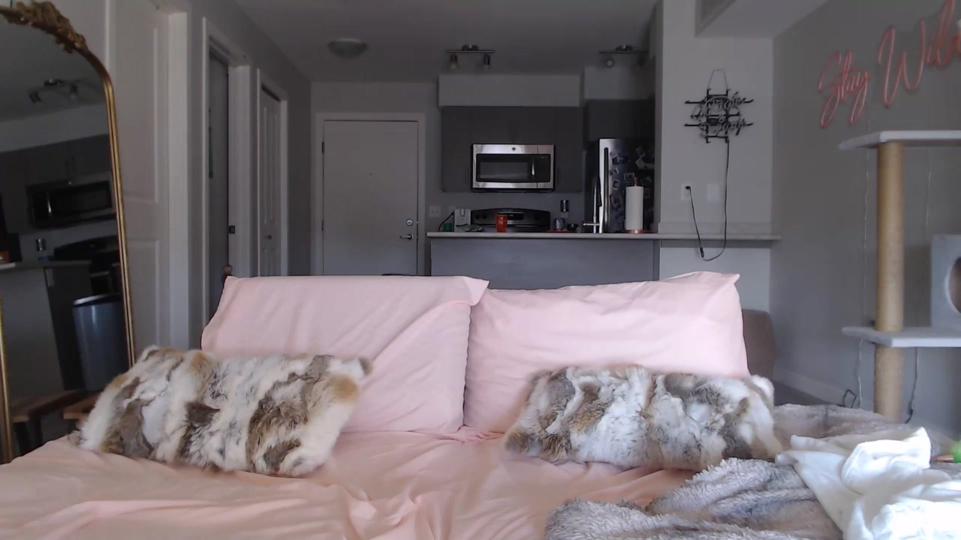 Gallery image thumbnail from AlexisWildest's myfreecams stream on, 03/15/2025, 22:52 image 3 of 20