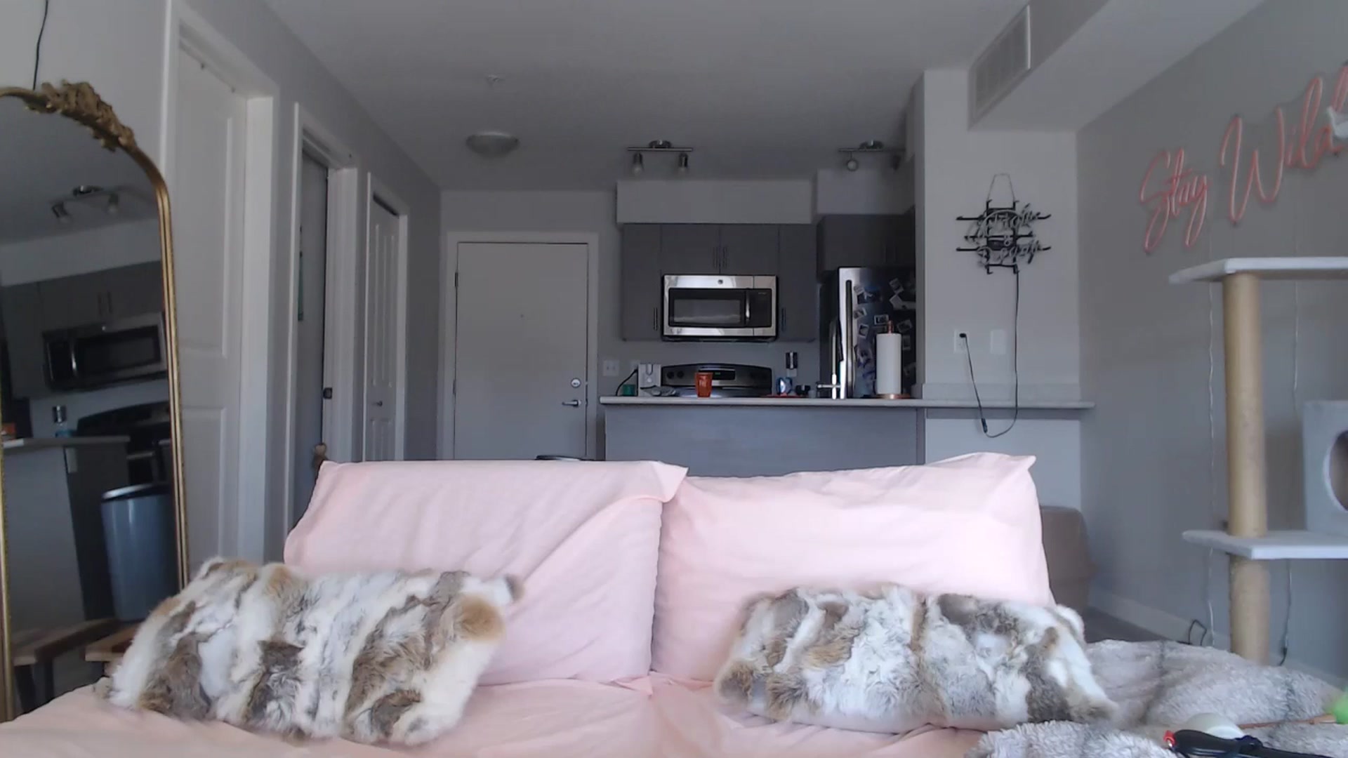Gallery image thumbnail from AlexisWildest's myfreecams stream on, 03/15/2025, 22:52 image 18 of 20