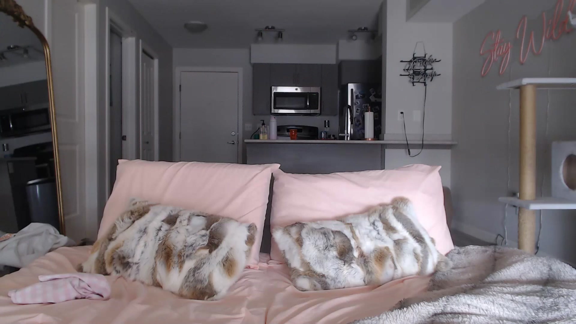 Gallery image thumbnail from AlexisWildest's myfreecams stream on, 03/16/2025, 21:18 image 18 of 20