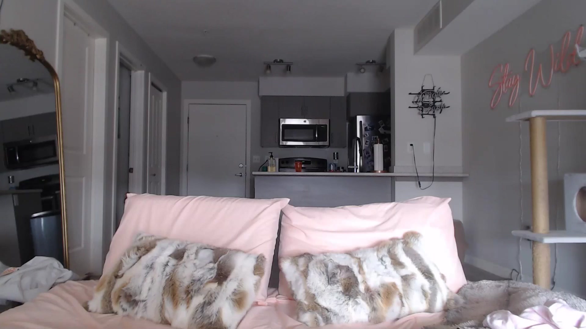 Gallery image thumbnail from AlexisWildest's myfreecams stream on, 03/16/2025, 22:07 image 14 of 20