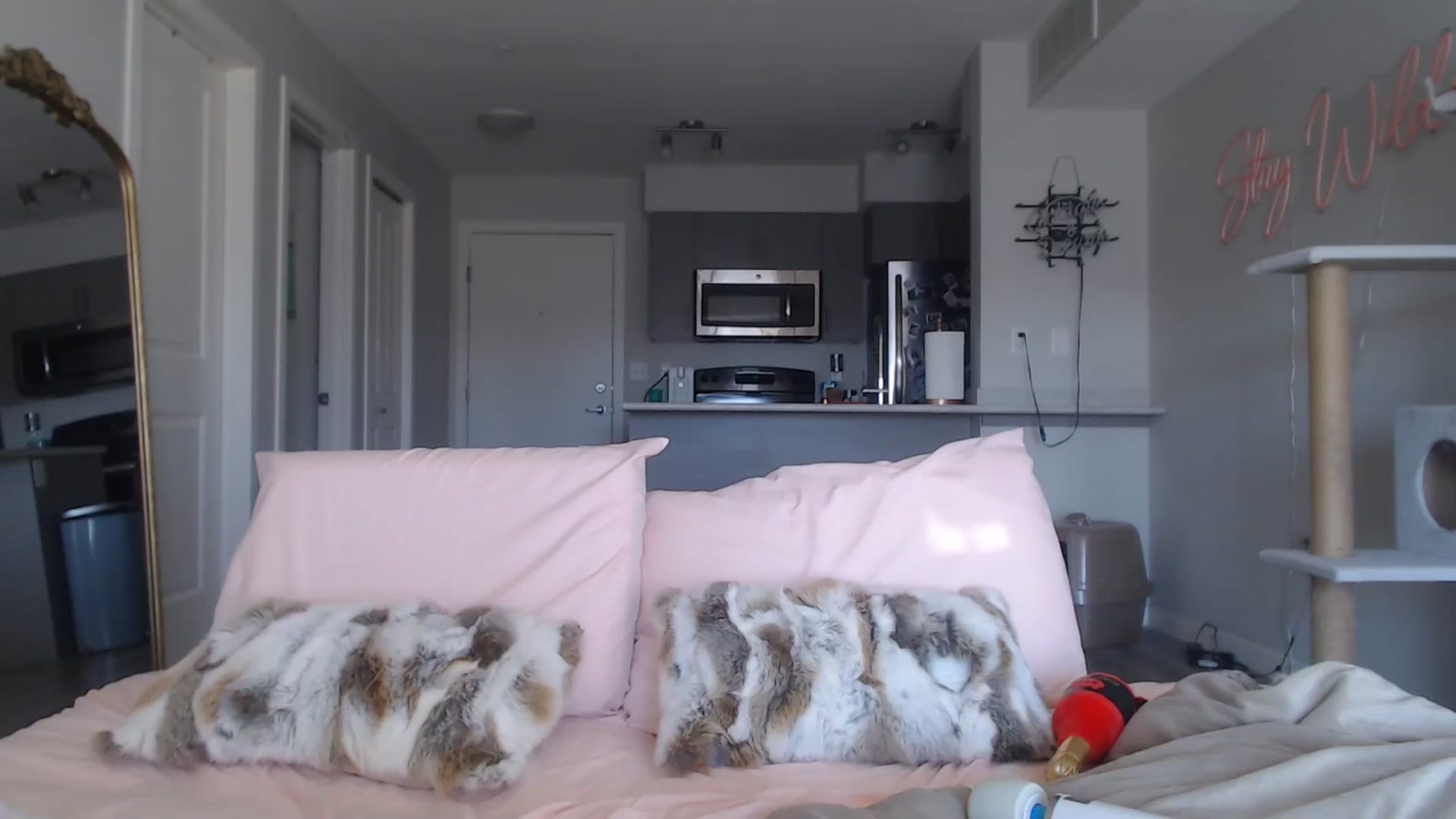 Gallery image thumbnail from AlexisWildest's myfreecams stream on, 03/20/2025, 24:04 image 14 of 20