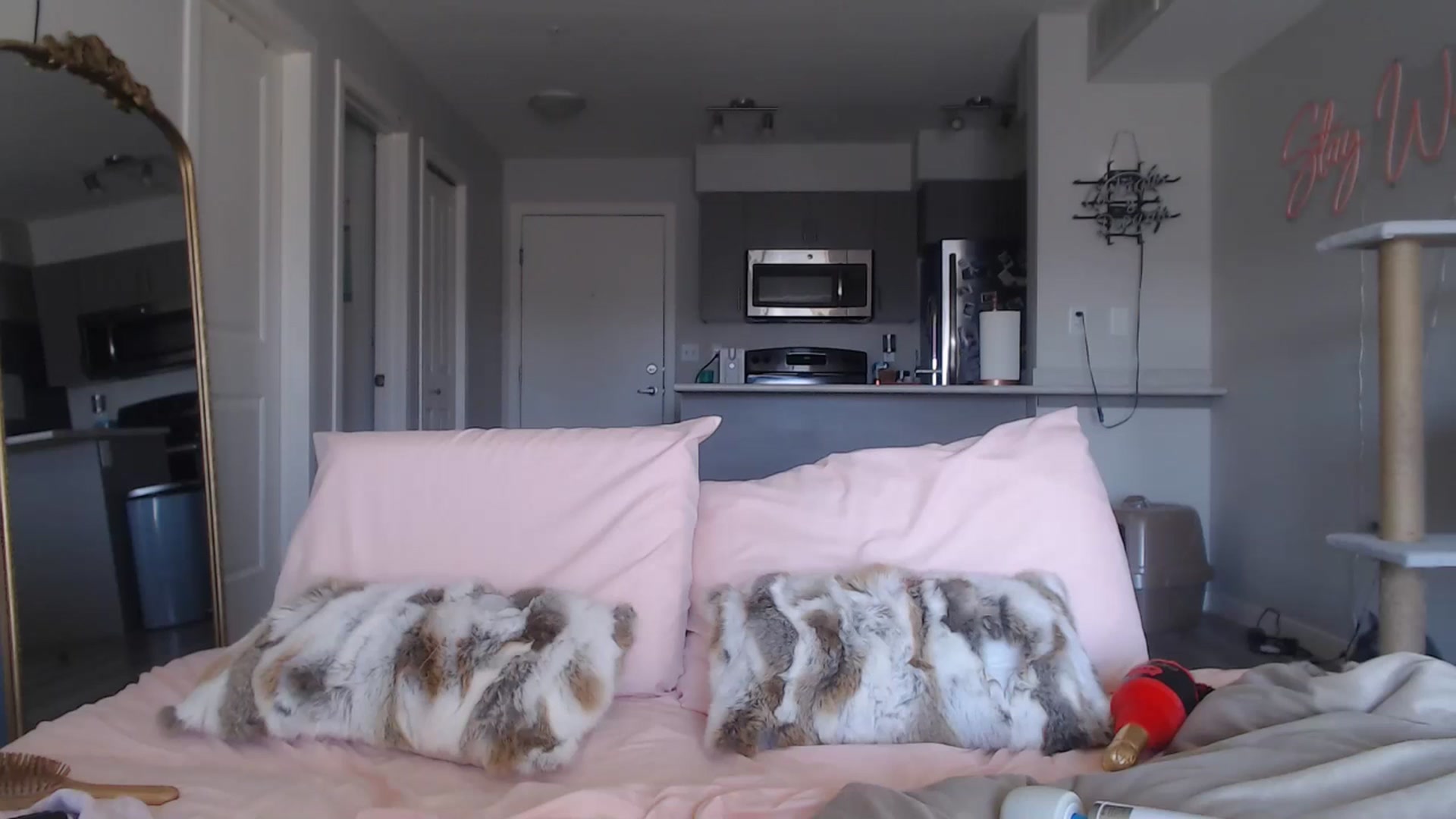 Gallery image thumbnail from AlexisWildest's myfreecams stream on, 03/20/2025, 24:04 image 19 of 20