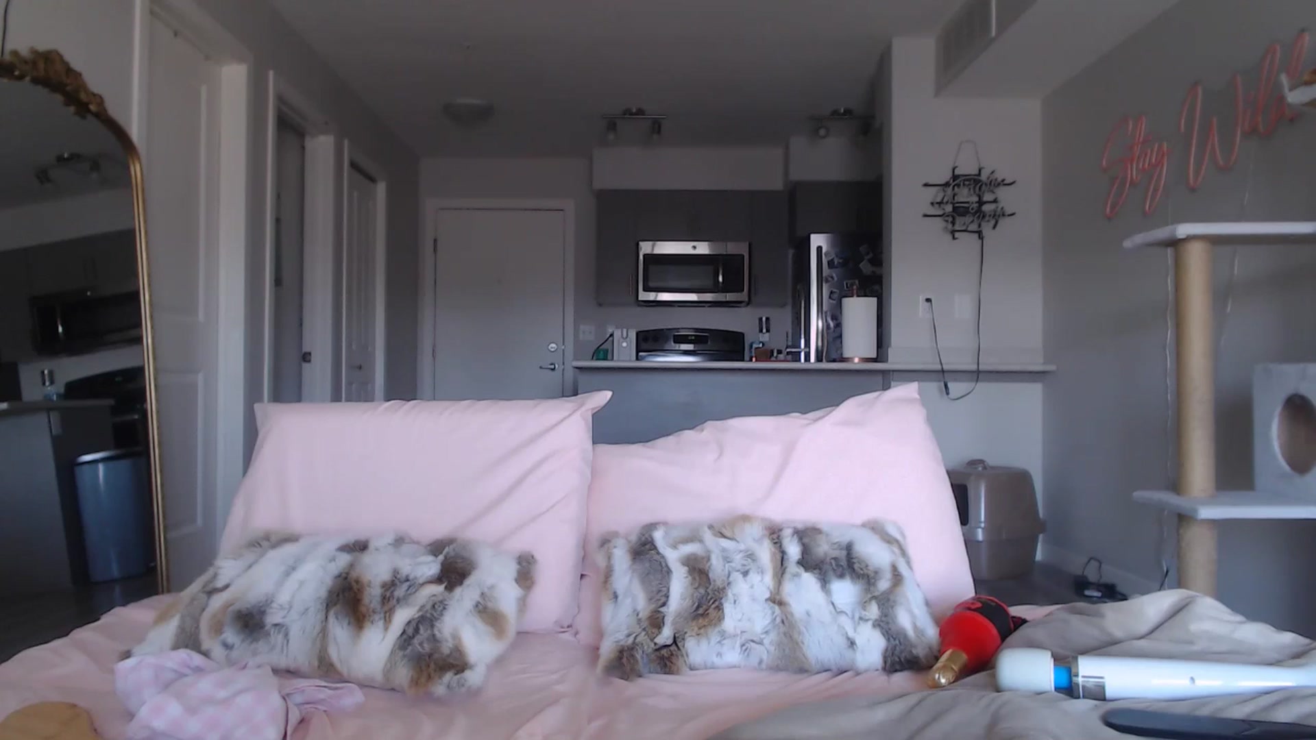Gallery image thumbnail from AlexisWildest's myfreecams stream on, 03/20/2025, 01:00 image 7 of 20