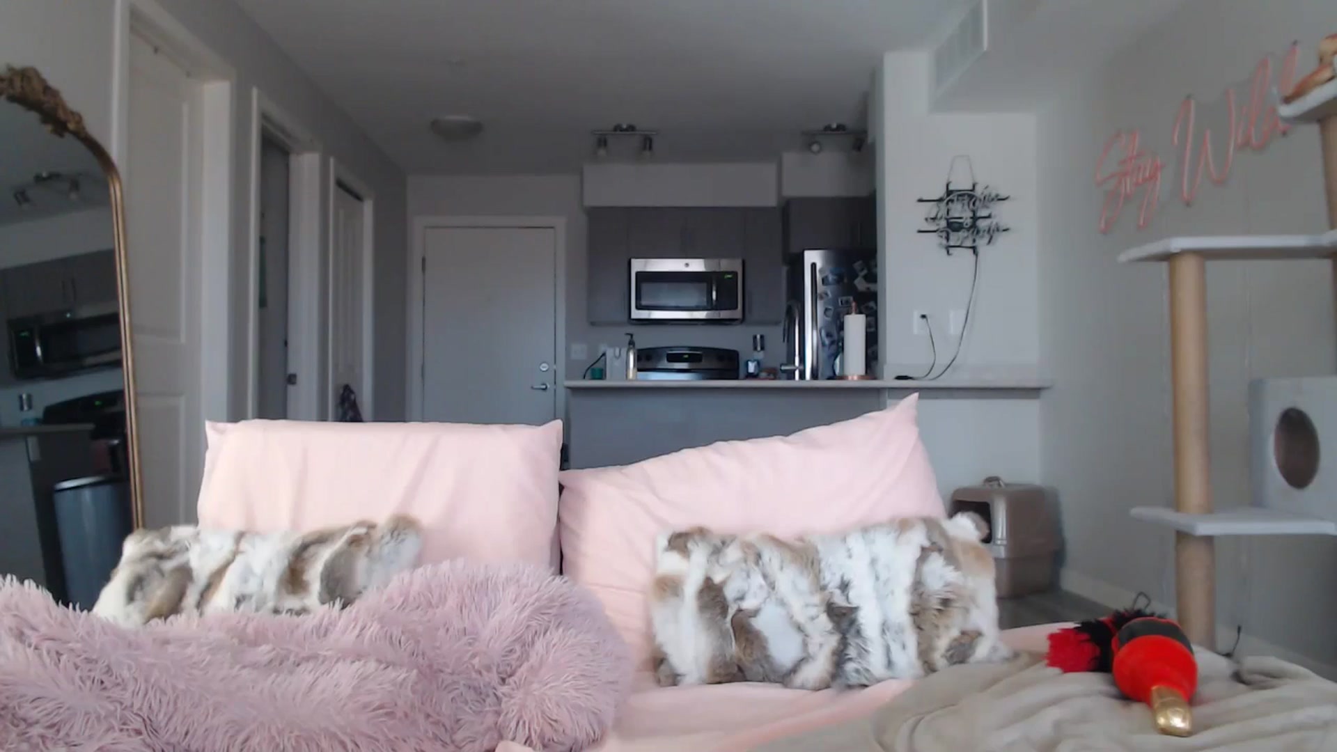 Gallery image thumbnail from AlexisWildest's myfreecams stream on, 03/22/2025, 19:21 image 12 of 20
