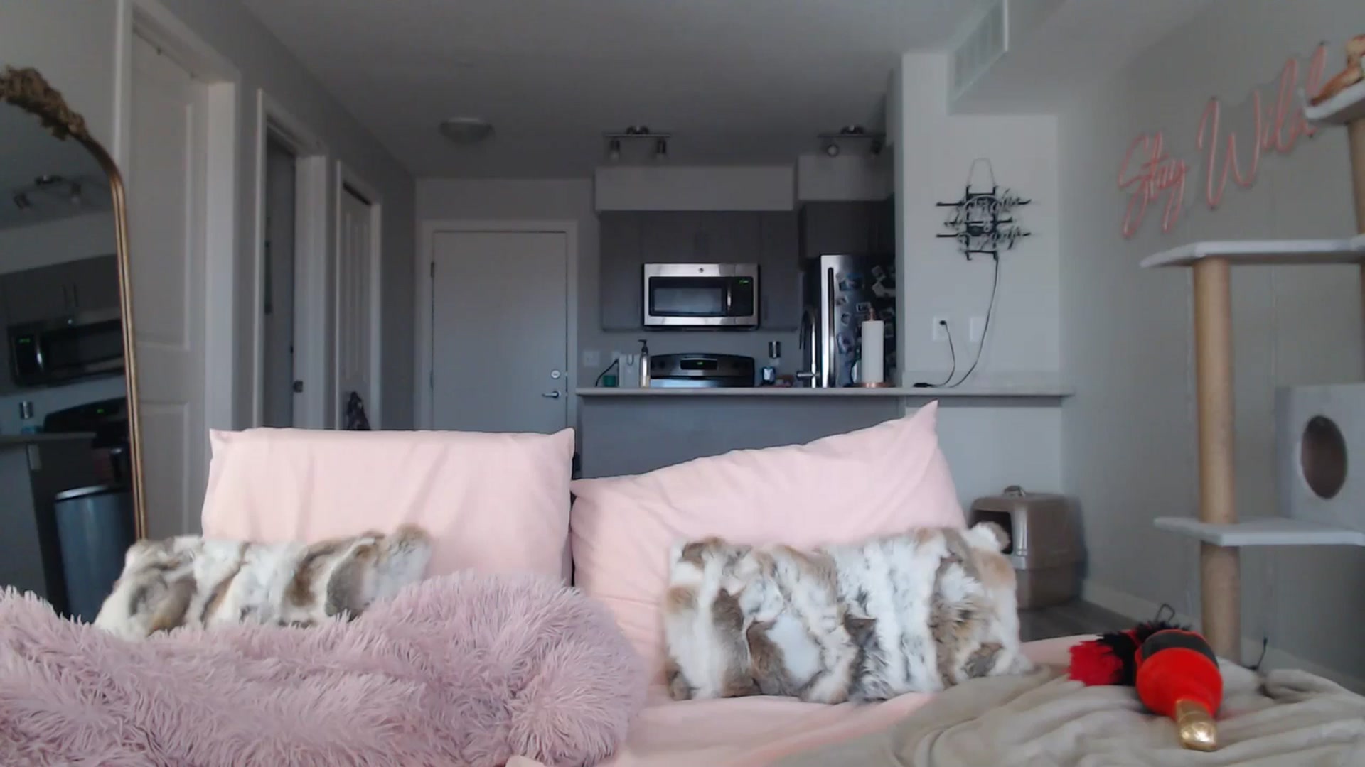 Gallery image thumbnail from AlexisWildest's myfreecams stream on, 03/22/2025, 19:21 image 10 of 20
