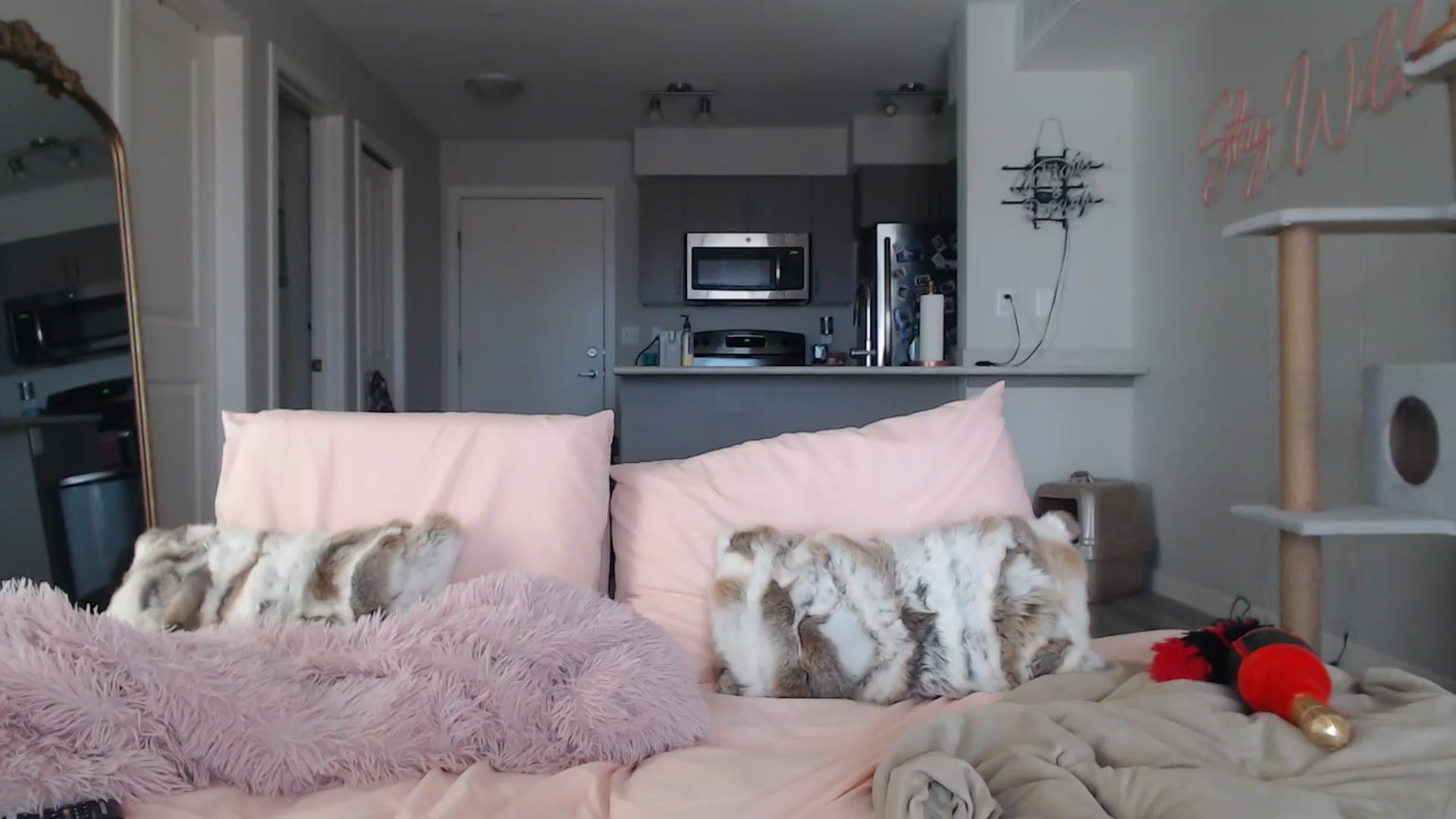 Gallery image thumbnail from AlexisWildest's myfreecams stream on, 03/22/2025, 19:48 image 6 of 20