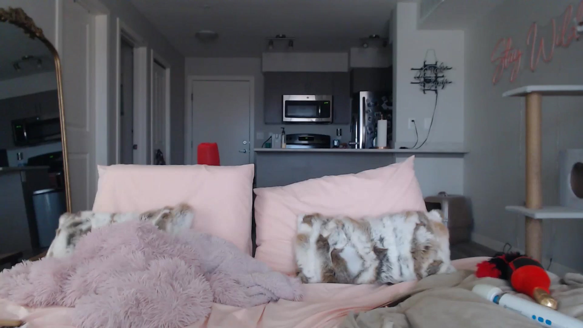 Gallery image thumbnail from AlexisWildest's myfreecams stream on, 03/22/2025, 21:53 image 9 of 20