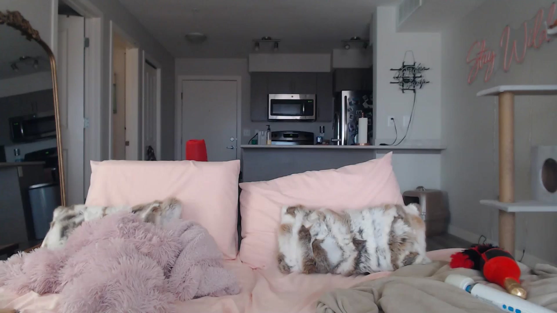 Gallery image thumbnail from AlexisWildest's myfreecams stream on, 03/22/2025, 21:53 image 1 of 20