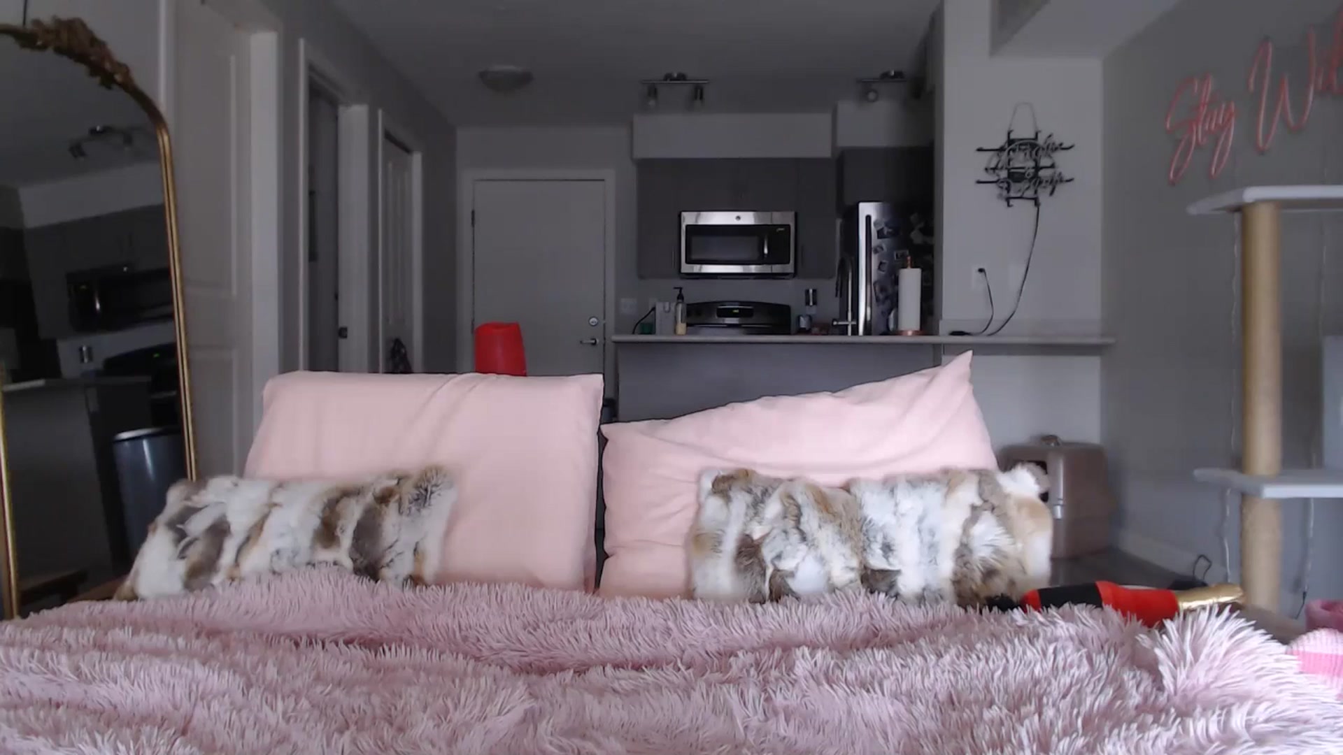 Gallery image thumbnail from AlexisWildest's myfreecams stream on, 03/22/2025, 23:14 image 13 of 20