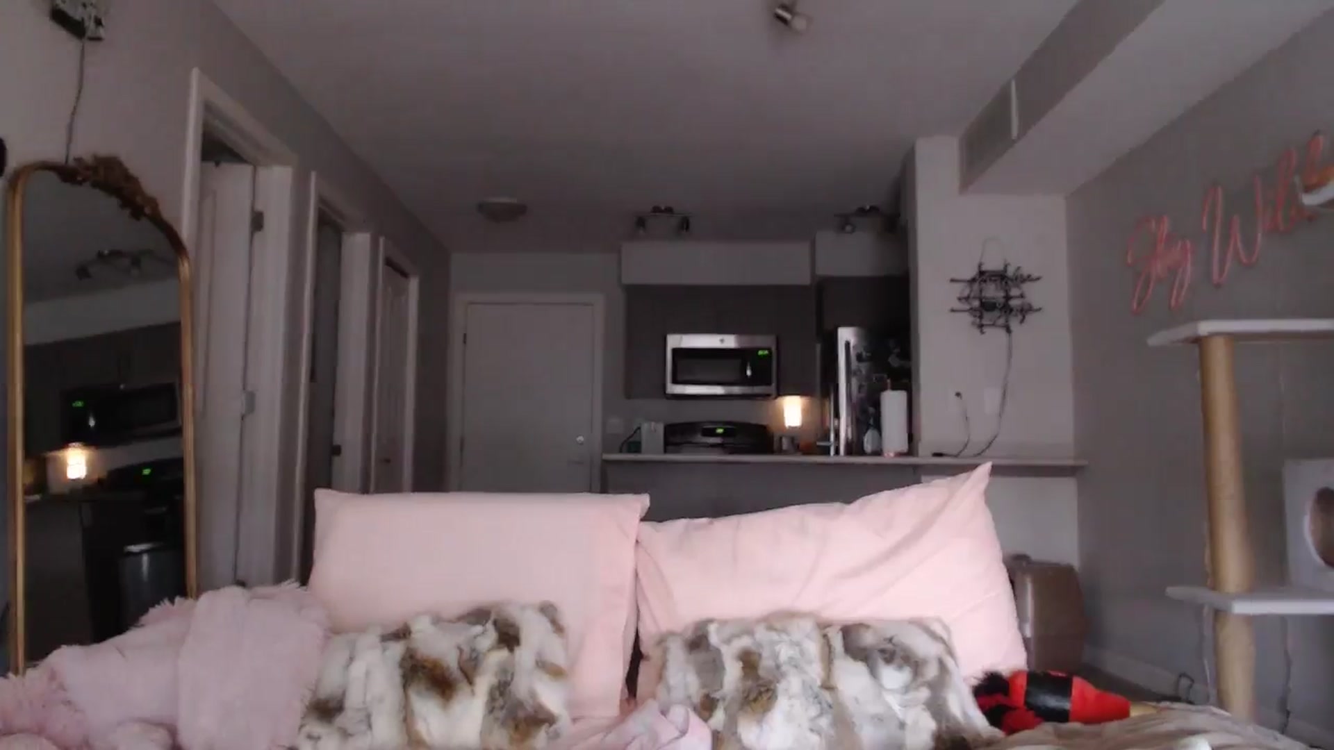 Gallery image thumbnail from AlexisWildest's myfreecams stream on, 03/25/2025, 01:05 image 18 of 20
