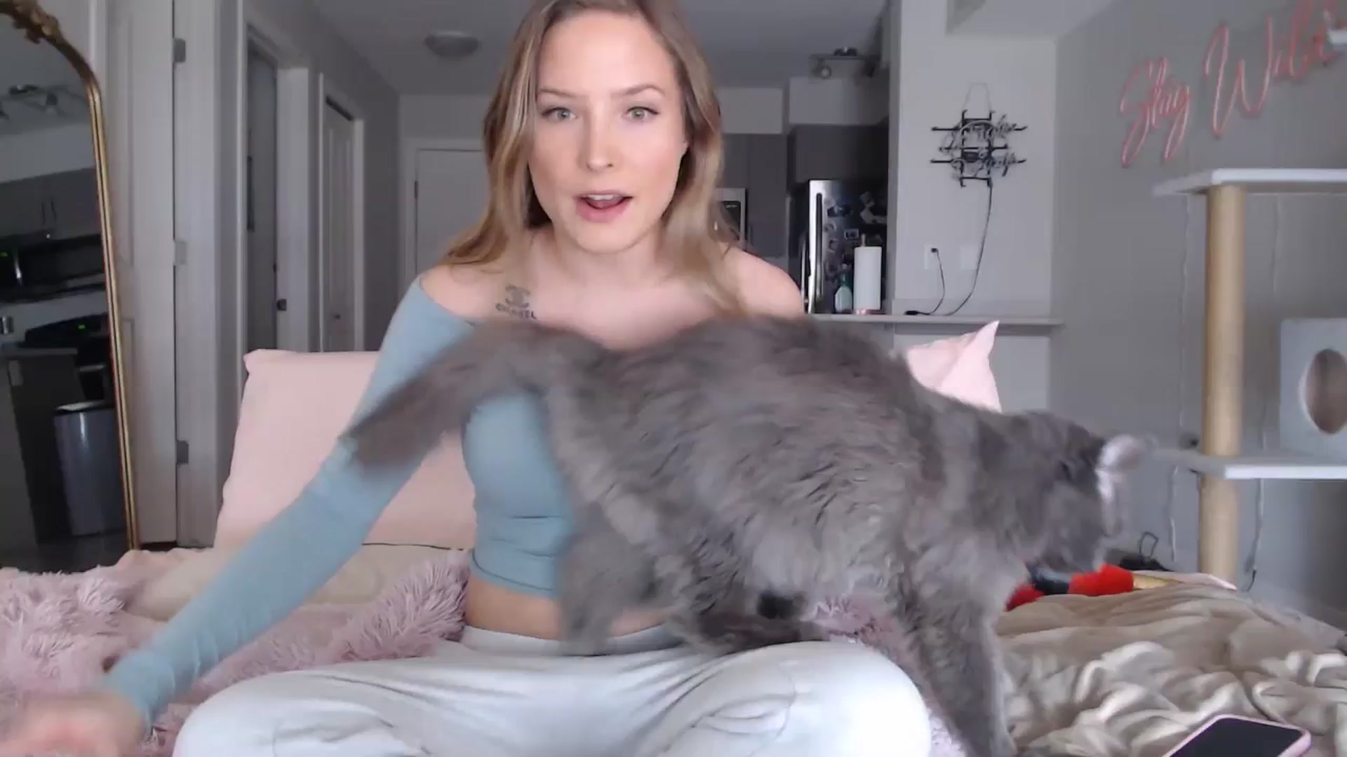 Gallery image thumbnail from AlexisWildest's myfreecams stream on, 03/25/2025, 01:05 image 1 of 20