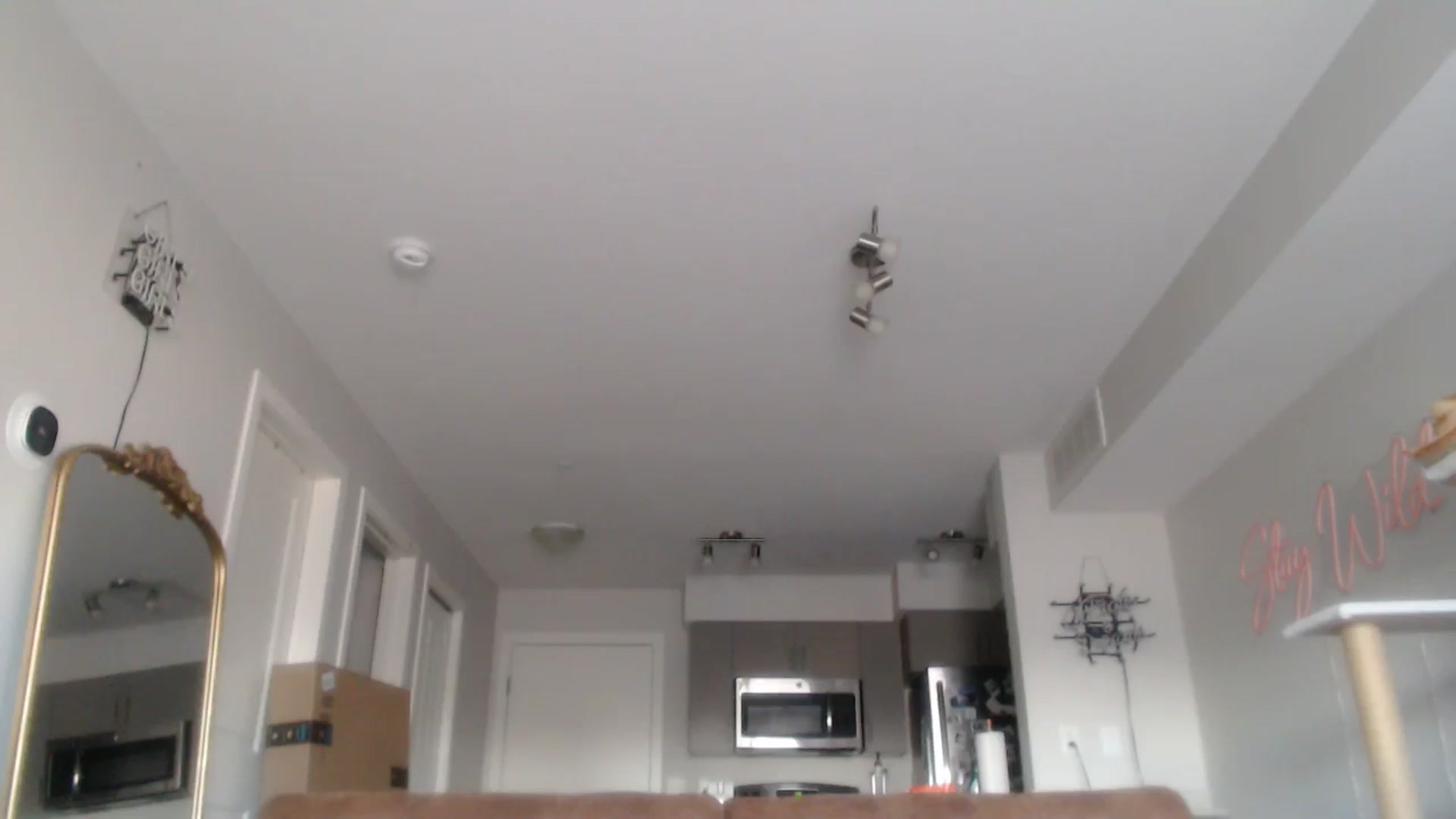 Gallery image thumbnail from AlexisWildest's myfreecams stream on, 04/10/2025, 01:25 image 19 of 20