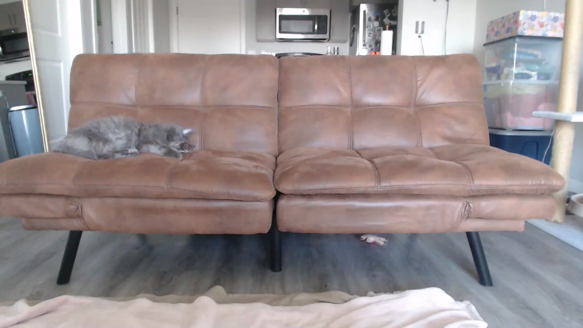 Gallery image thumbnail from AlexisWildest's myfreecams stream on, 04/15/2025, 02:31 image 12 of 20
