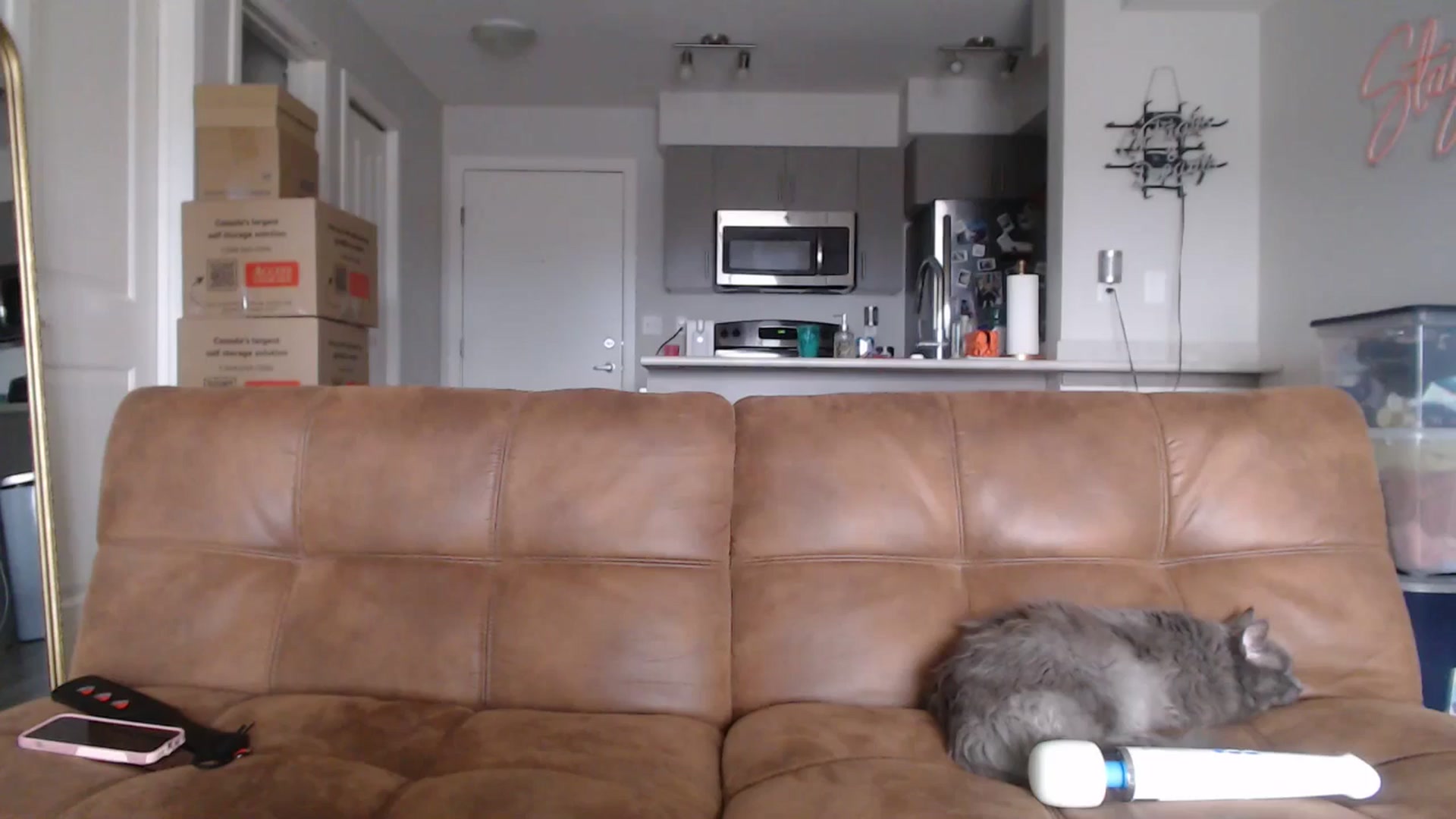 Gallery image thumbnail from AlexisWildest's myfreecams stream on, 04/17/2025, 01:32 image 16 of 20