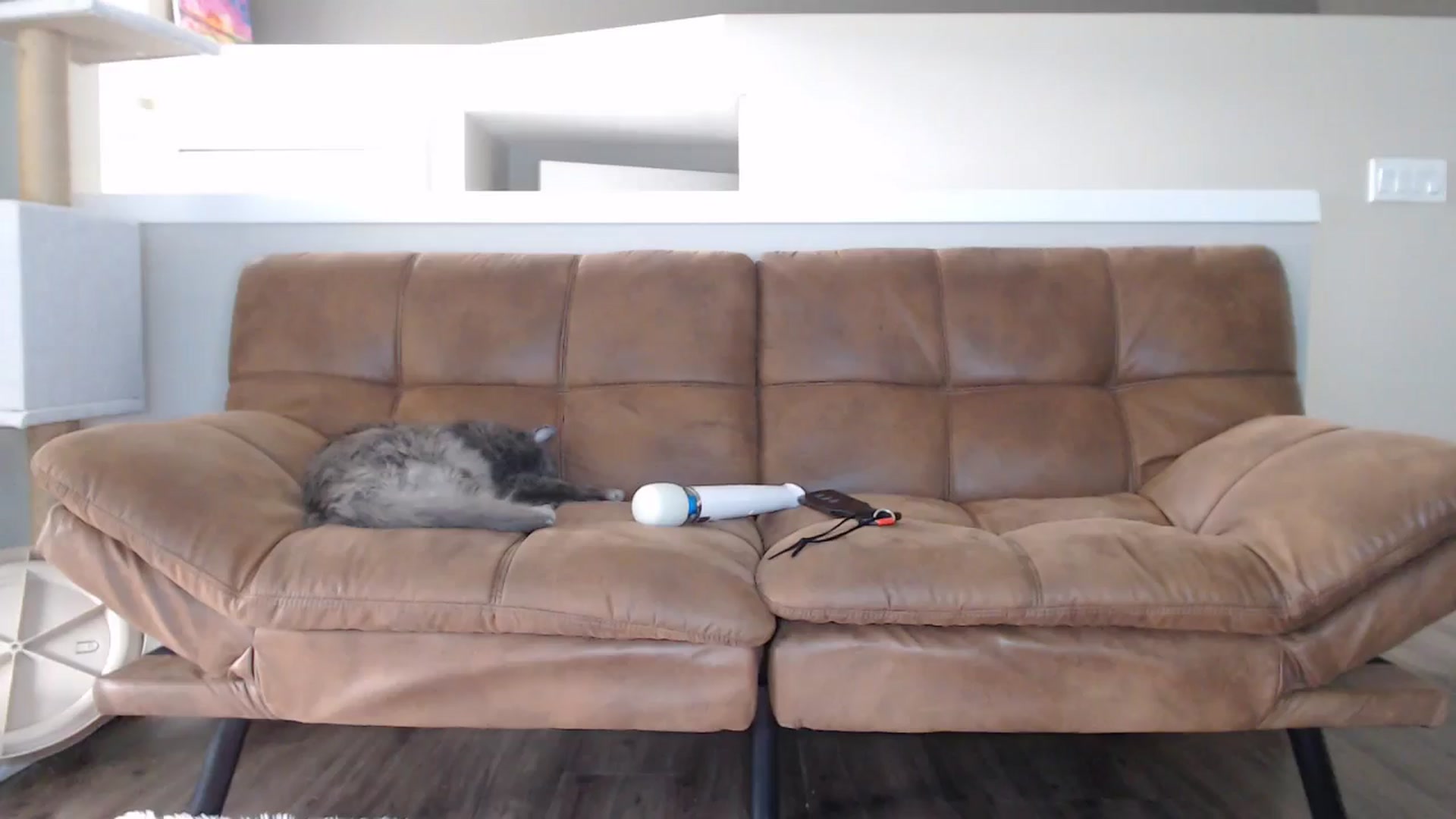 Gallery image thumbnail from AlexisWildest's myfreecams stream on, 05/11/2025, 22:01 image 11 of 20