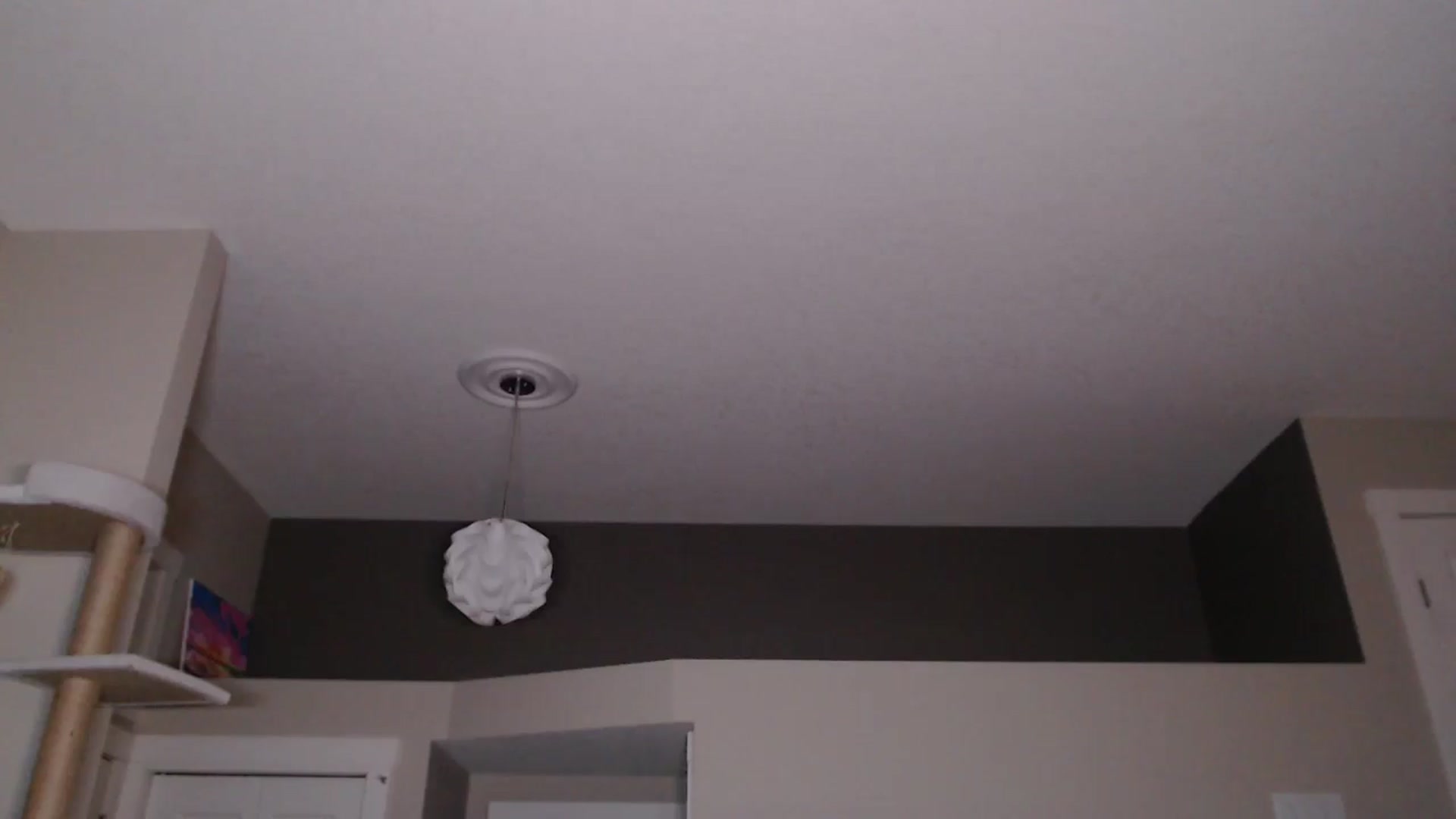 Gallery image thumbnail from AlexisWildest's myfreecams stream on, 05/29/2025, 05:50 image 3 of 20