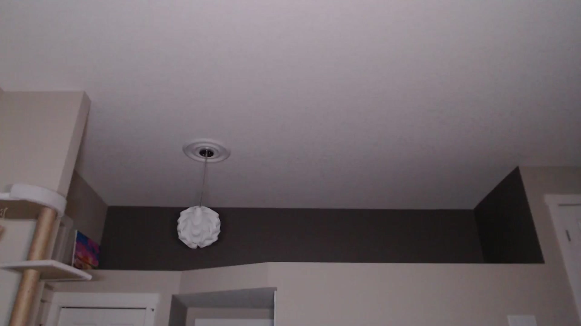 Gallery image thumbnail from AlexisWildest's myfreecams stream on, 05/29/2025, 05:50 image 2 of 20