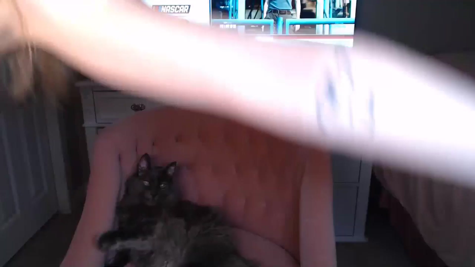 Gallery image thumbnail from AlexisWildest's myfreecams stream on, 06/02/2025, 02:16 image 8 of 20