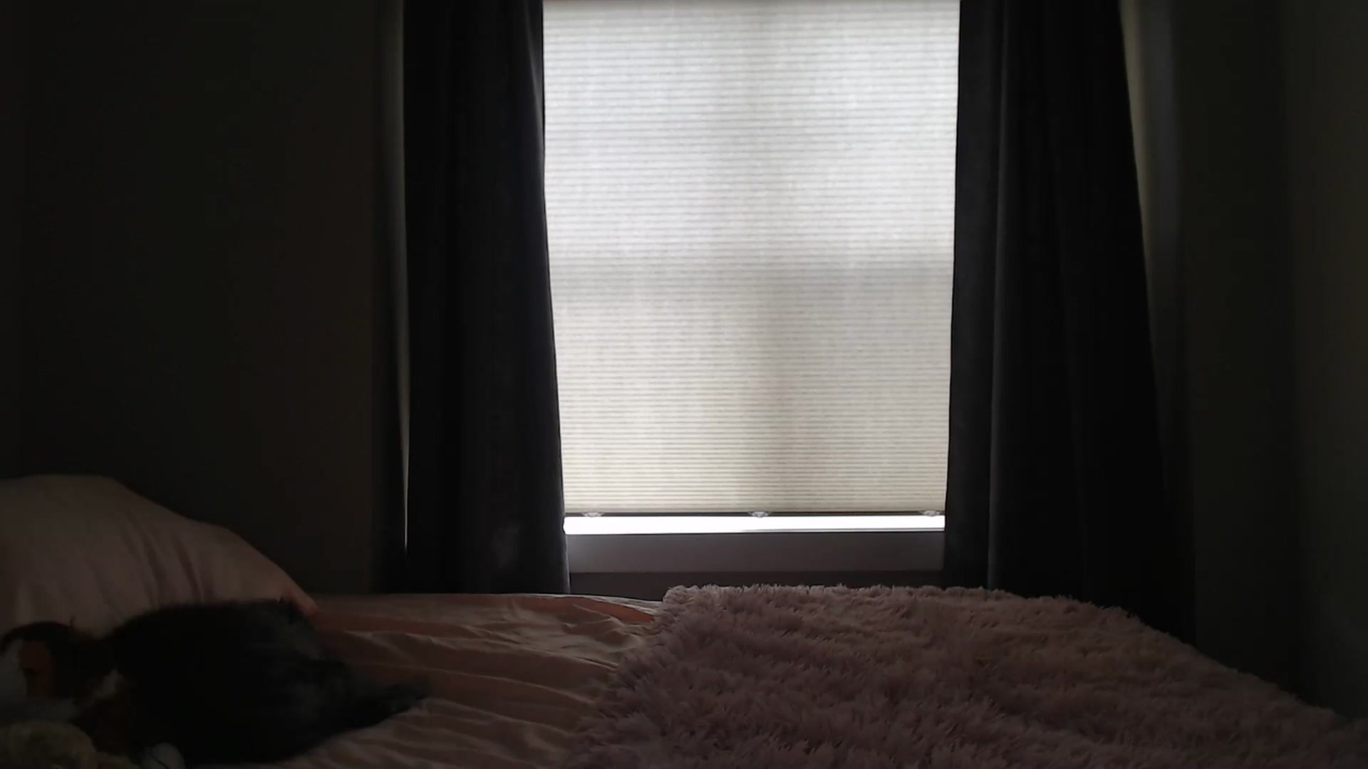 Gallery image thumbnail from AlexisWildest's myfreecams stream on, 06/28/2025, 02:42 image 3 of 20
