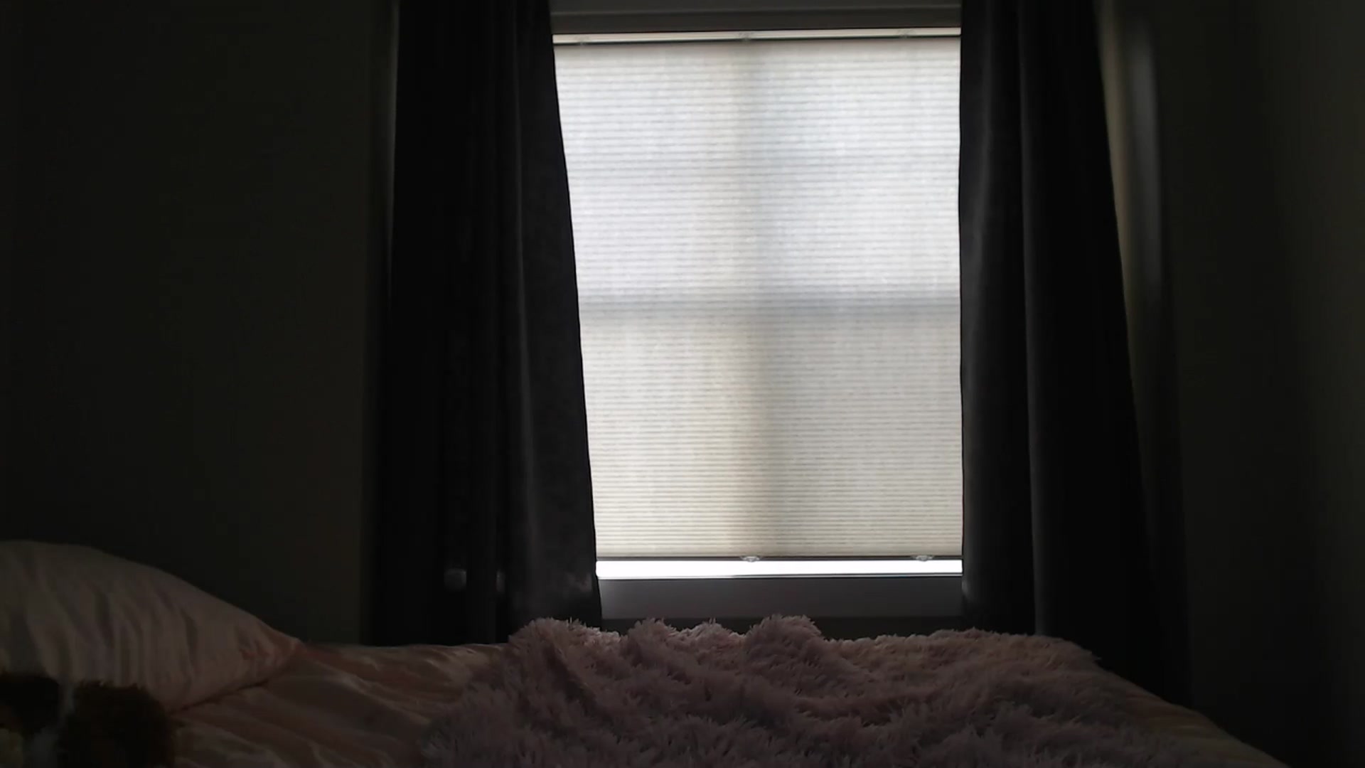 Gallery image thumbnail from AlexisWildest's myfreecams stream on, 06/29/2025, 24:02 image 6 of 20