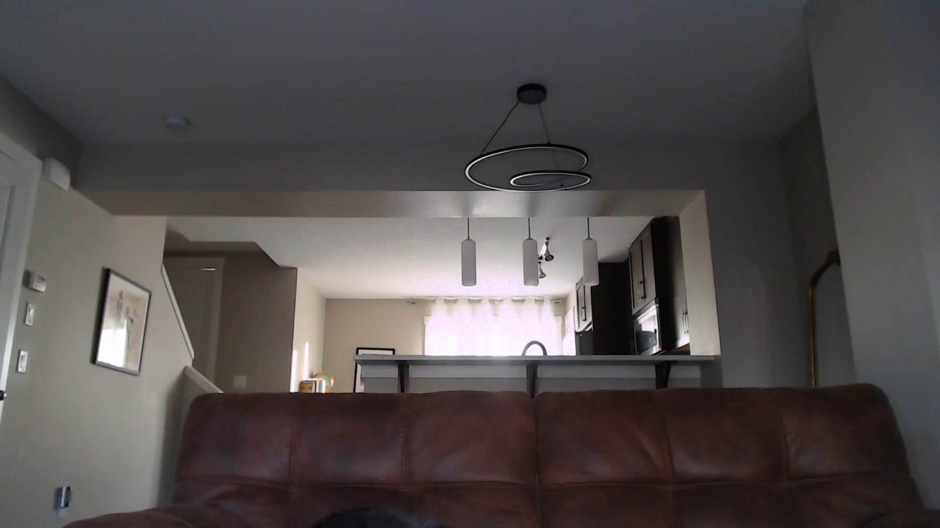 Gallery image thumbnail from AlexisWildest's myfreecams stream on, 08/12/2025, 03:39 image 9 of 20