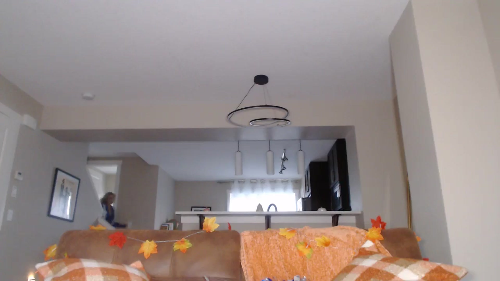 Gallery image thumbnail from AlexisWildest's myfreecams stream on, 09/05/2025, 04:03 image 5 of 20