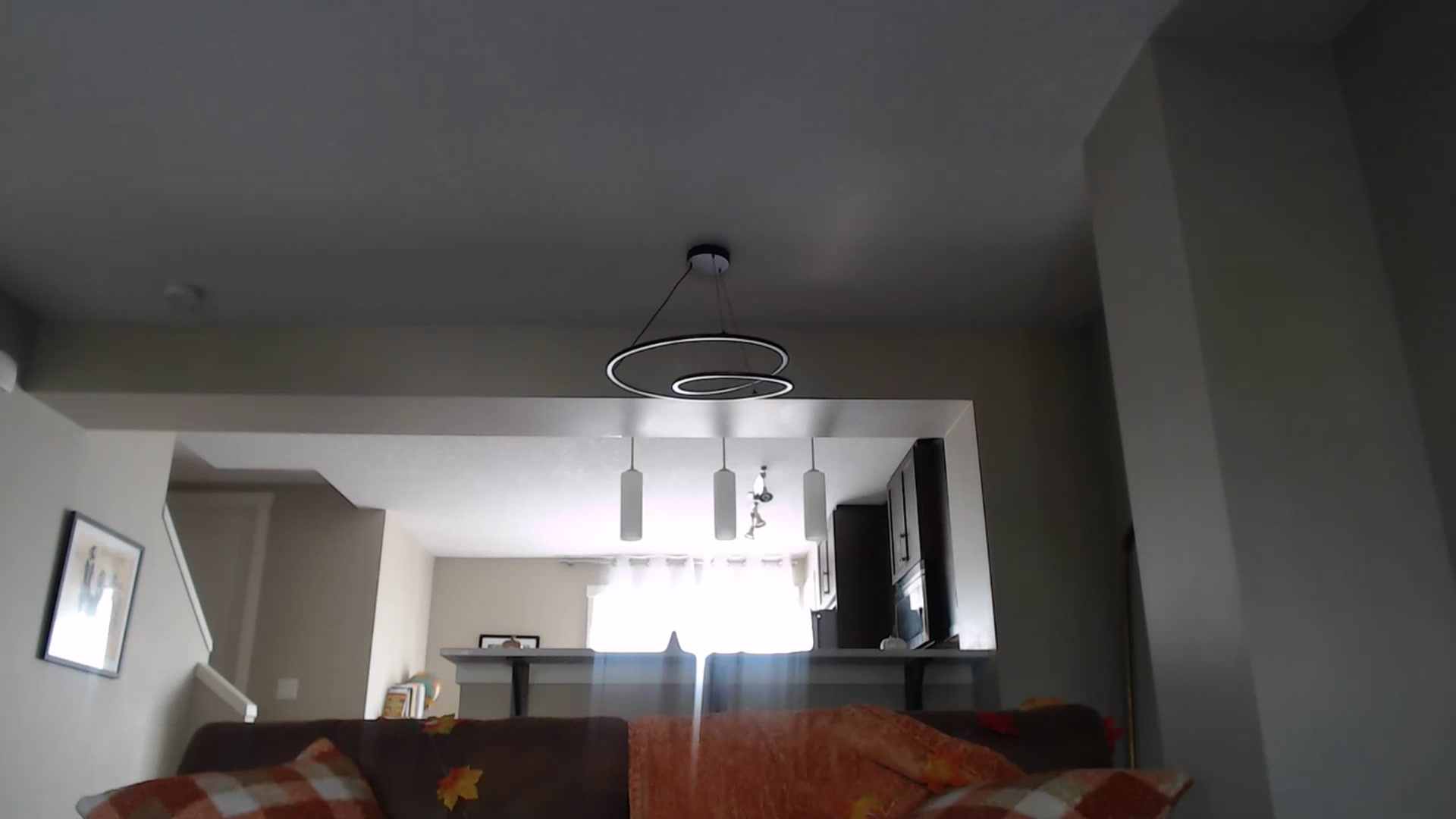 Gallery image thumbnail from AlexisWildest's myfreecams stream on, 09/14/2025, 22:03 image 15 of 20