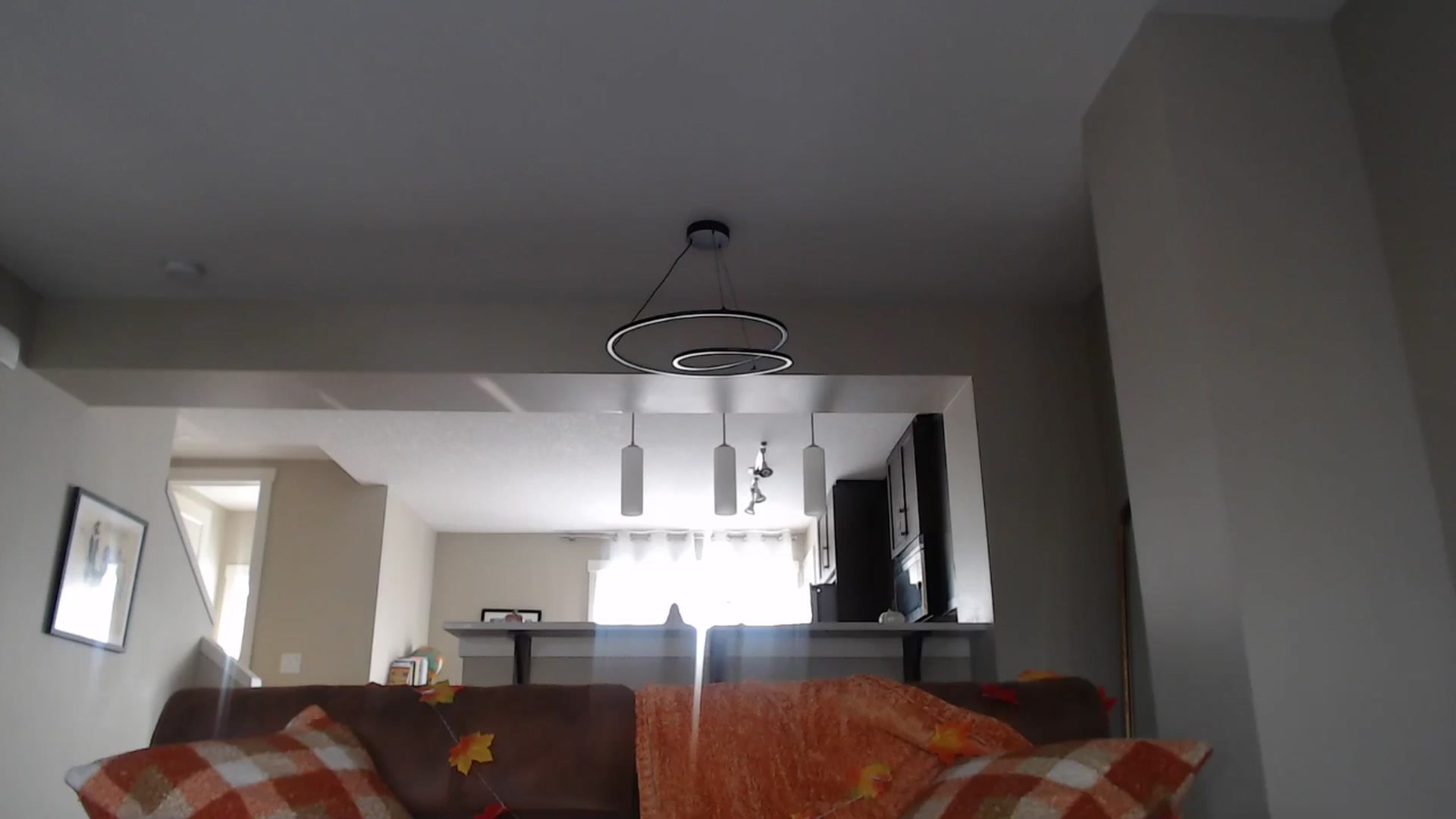 Gallery image thumbnail from AlexisWildest's myfreecams stream on, 09/14/2025, 23:08 image 16 of 20