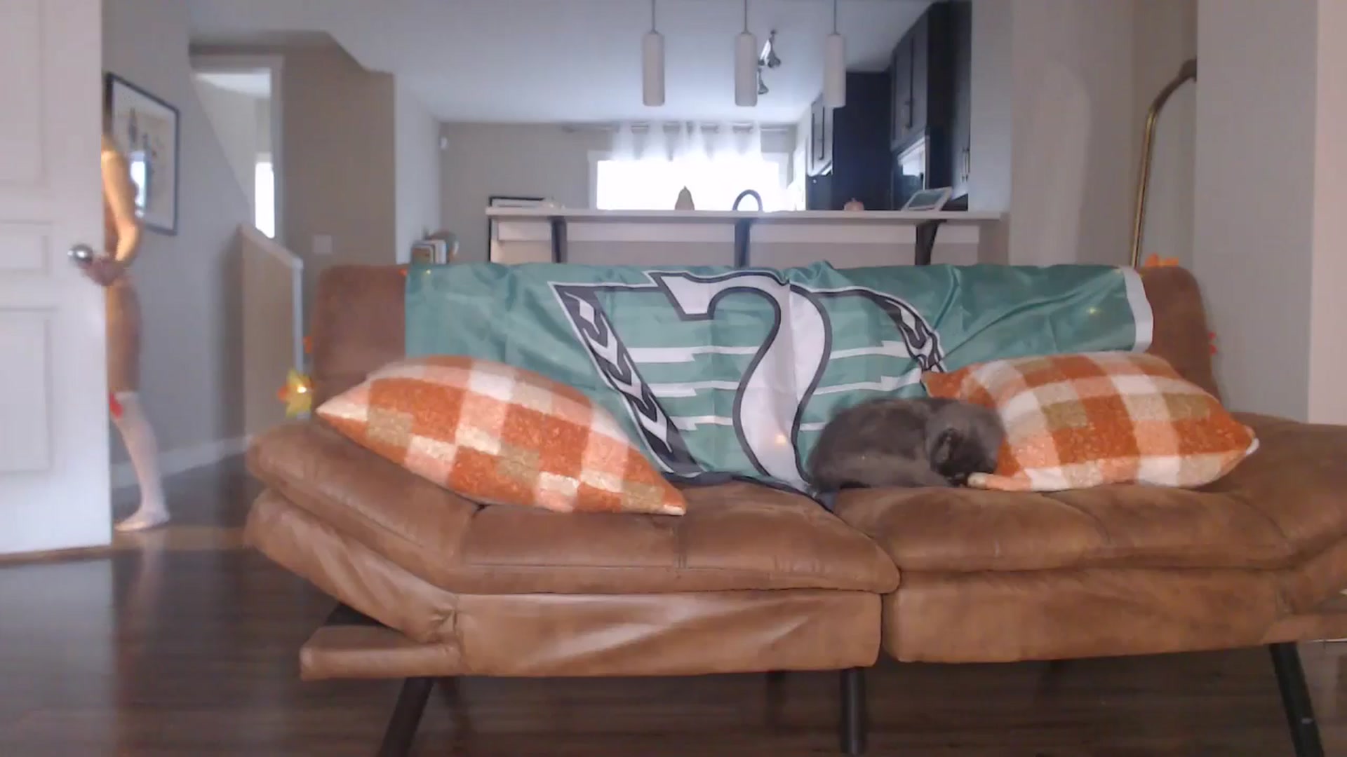 Gallery image thumbnail from AlexisWildest's myfreecams stream on, 10/13/2025, 24:12 image 14 of 20