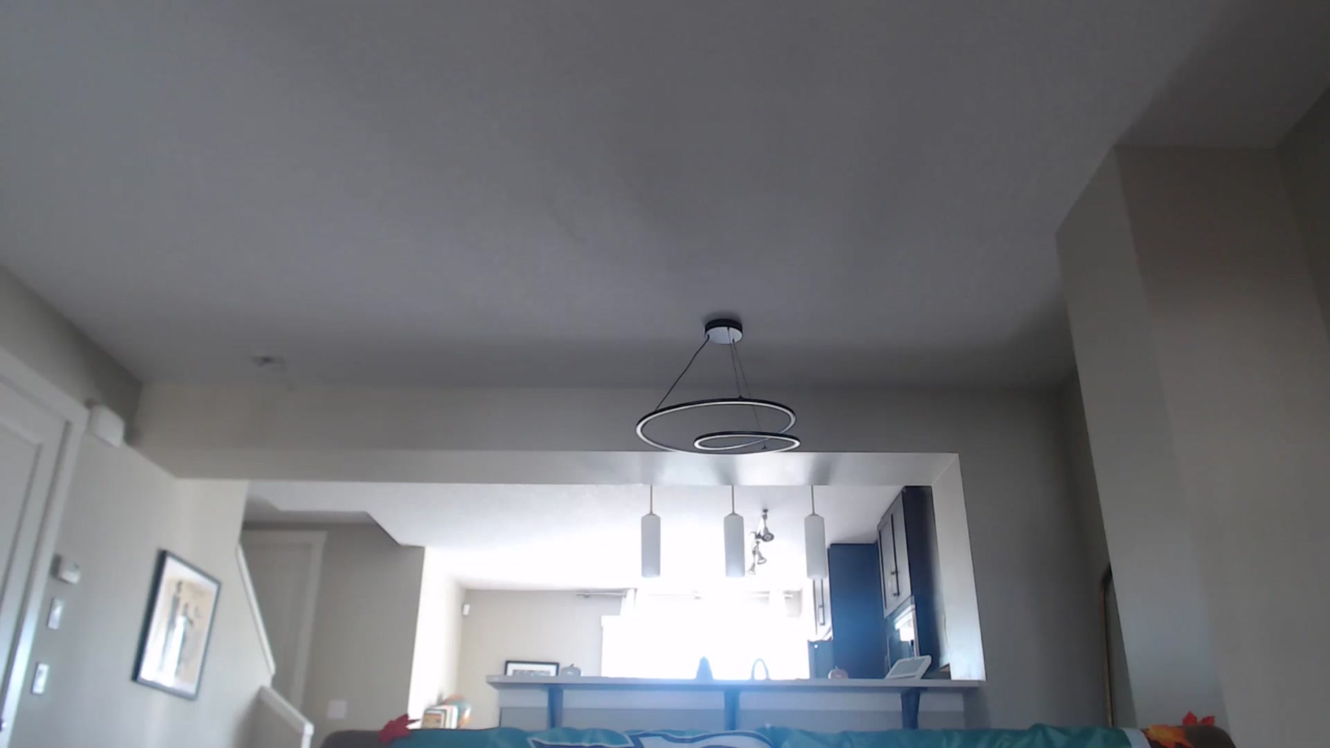Gallery image thumbnail from AlexisWildest's myfreecams stream on, 10/19/2025, 20:56 image 18 of 20
