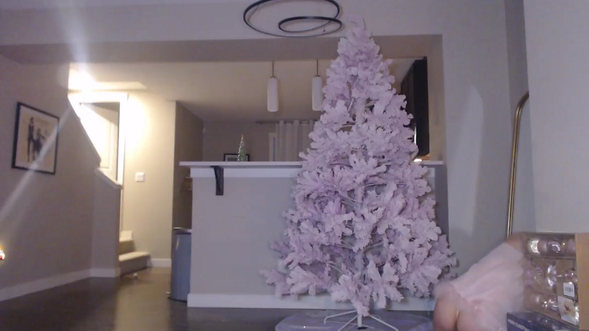 Gallery image thumbnail from AlexisWildest's myfreecams stream on, 11/26/2025, 04:56 image 7 of 20