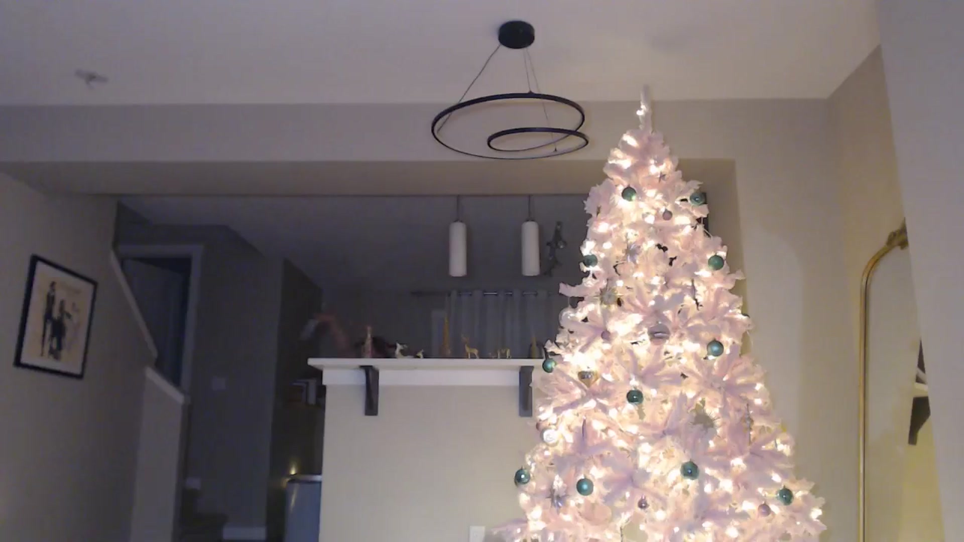 Gallery image thumbnail from AlexisWildest's myfreecams stream on, 12/09/2025, 04:15 image 18 of 20