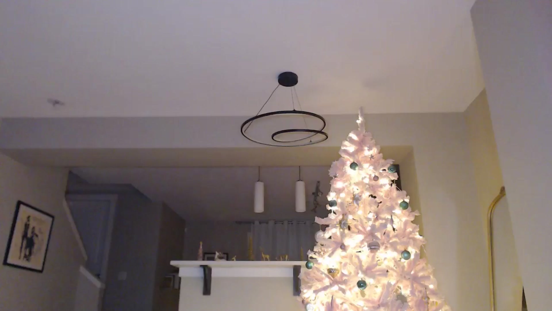 Gallery image thumbnail from AlexisWildest's myfreecams stream on, 12/13/2025, 05:03 image 1 of 20