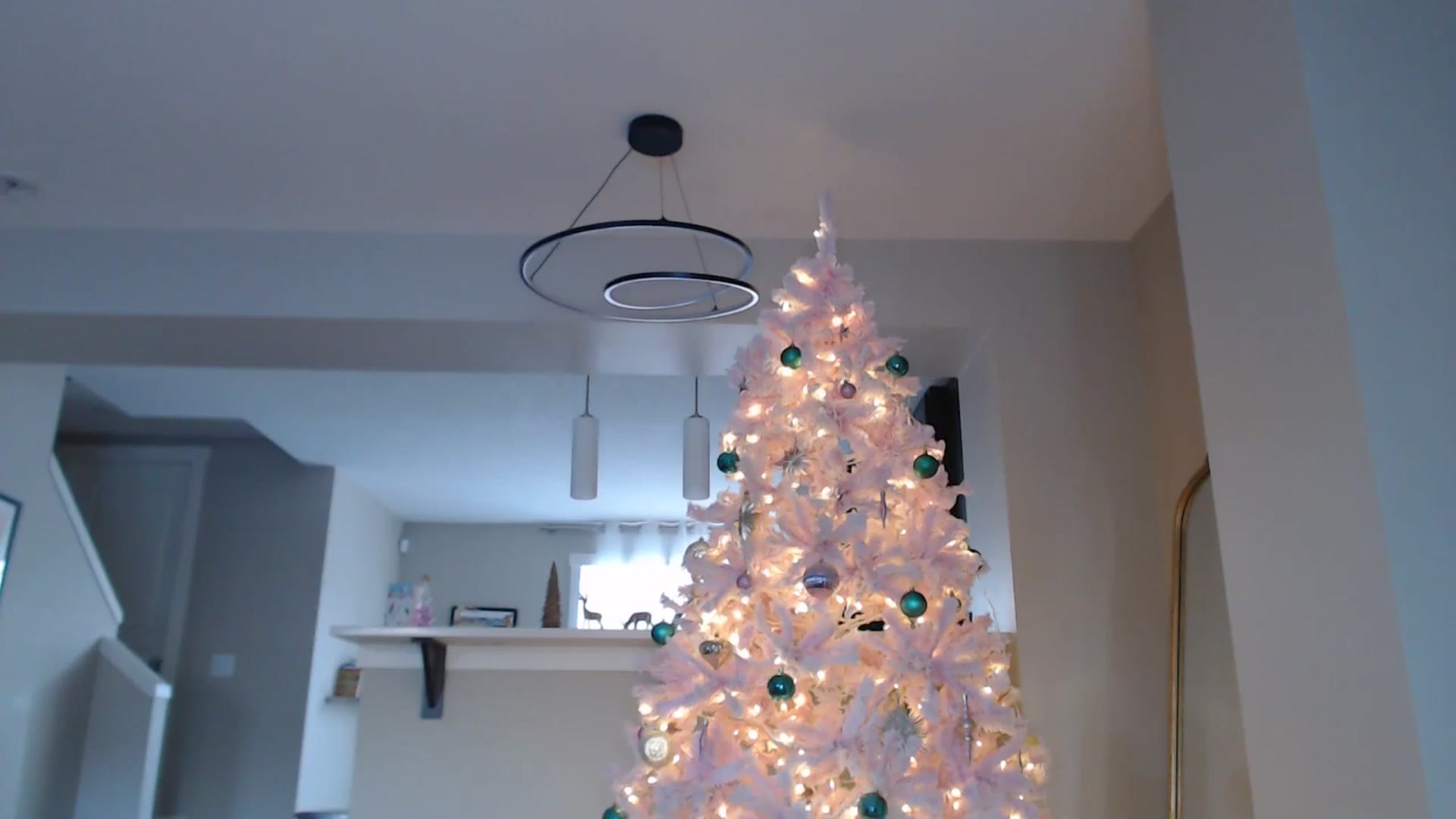 Gallery image thumbnail from AlexisWildest's myfreecams stream on, 12/21/2025, 23:27 image 8 of 20