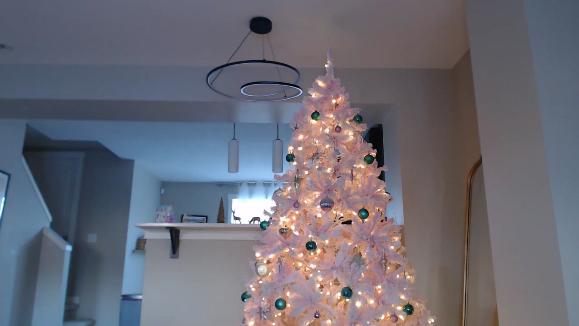 Gallery image thumbnail from AlexisWildest's myfreecams stream on, 12/21/2025, 23:27 image 4 of 20