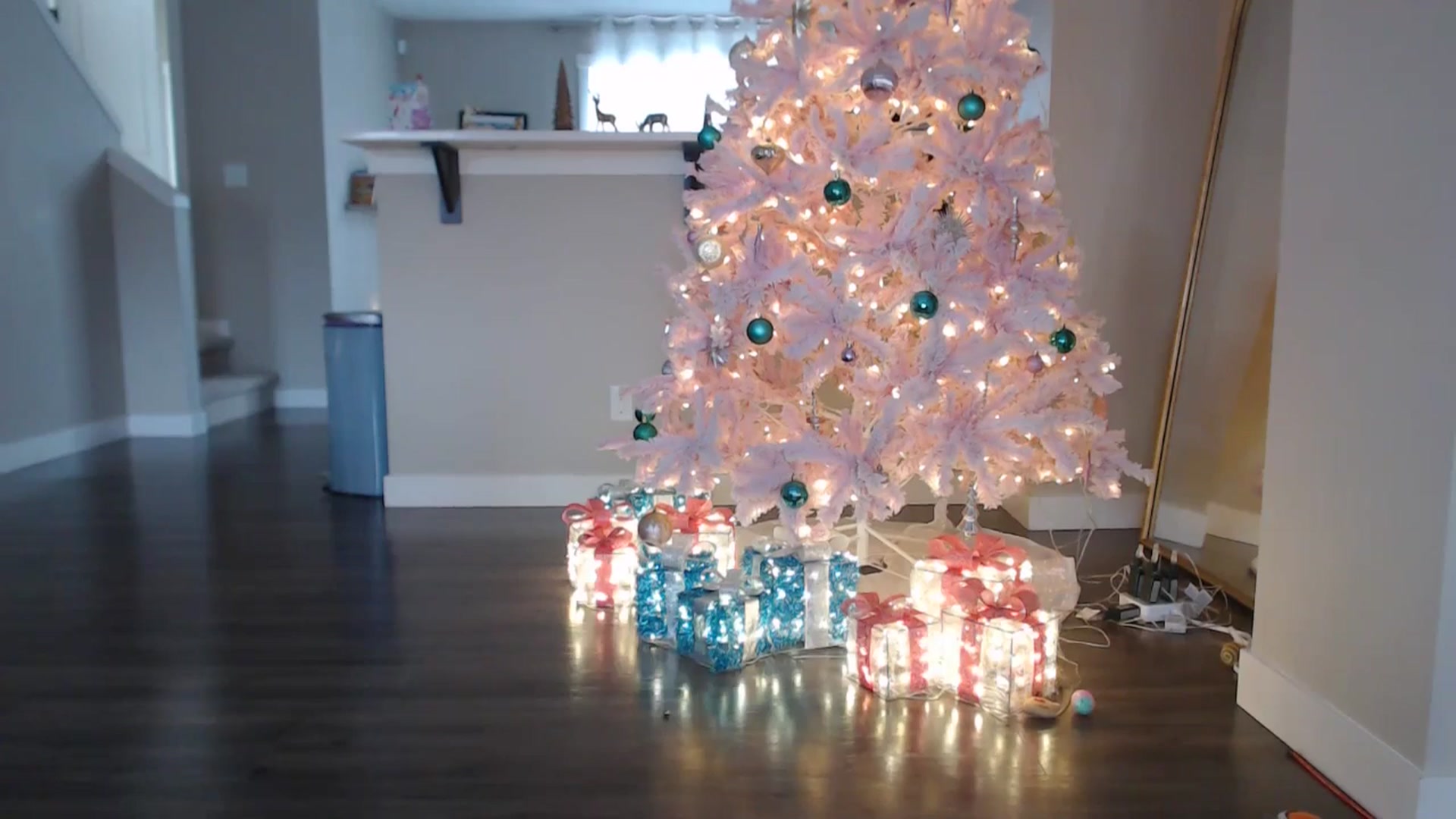 Gallery image thumbnail from AlexisWildest's myfreecams stream on, 12/24/2025, 22:10 image 15 of 20