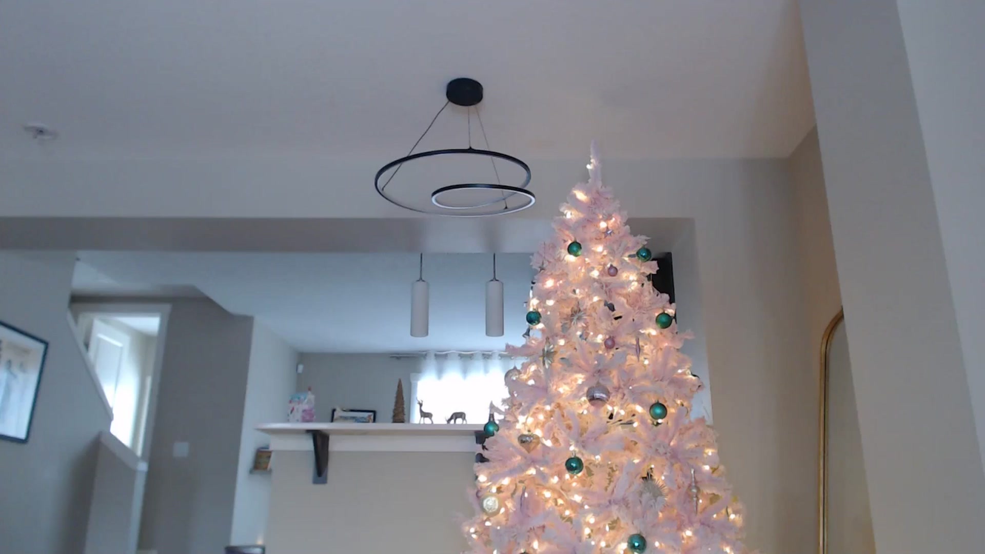 Gallery image thumbnail from AlexisWildest's myfreecams stream on, 12/24/2025, 22:10 image 18 of 20
