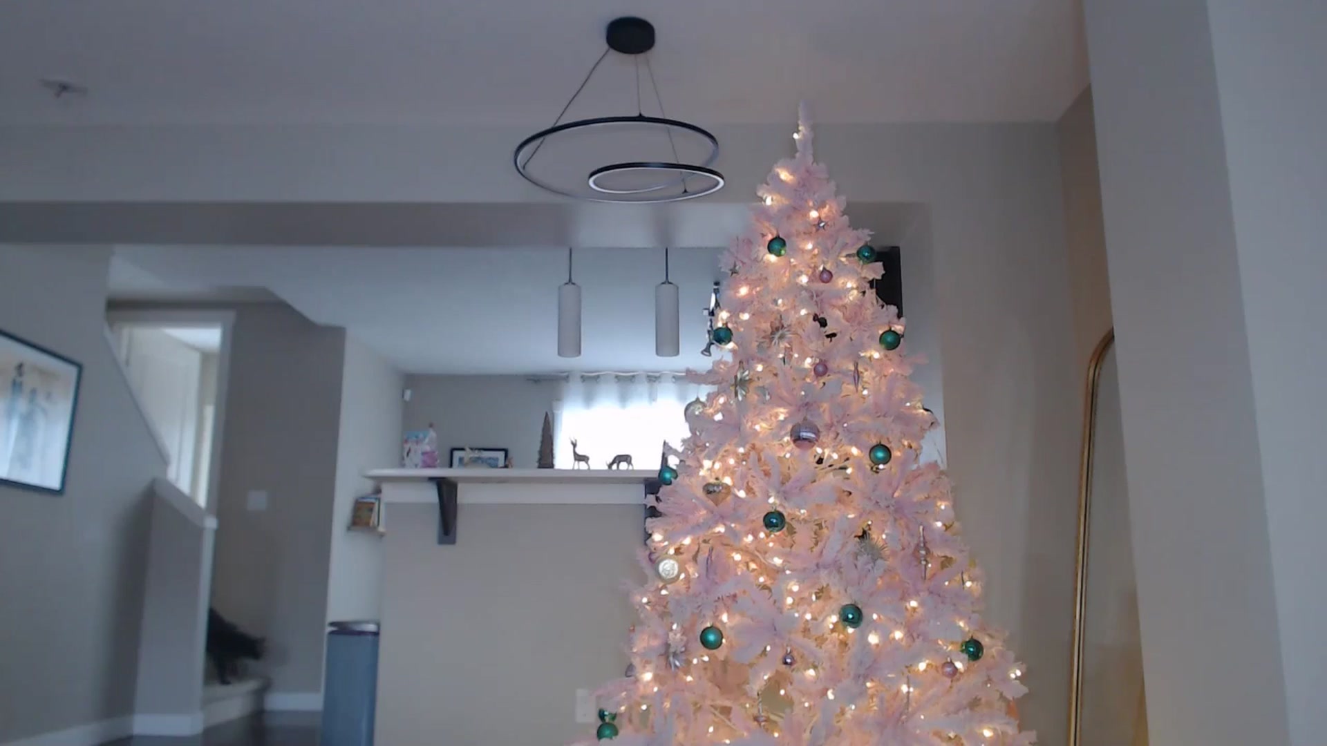 Gallery image thumbnail from AlexisWildest's myfreecams stream on, 12/28/2025, 23:10 image 15 of 20