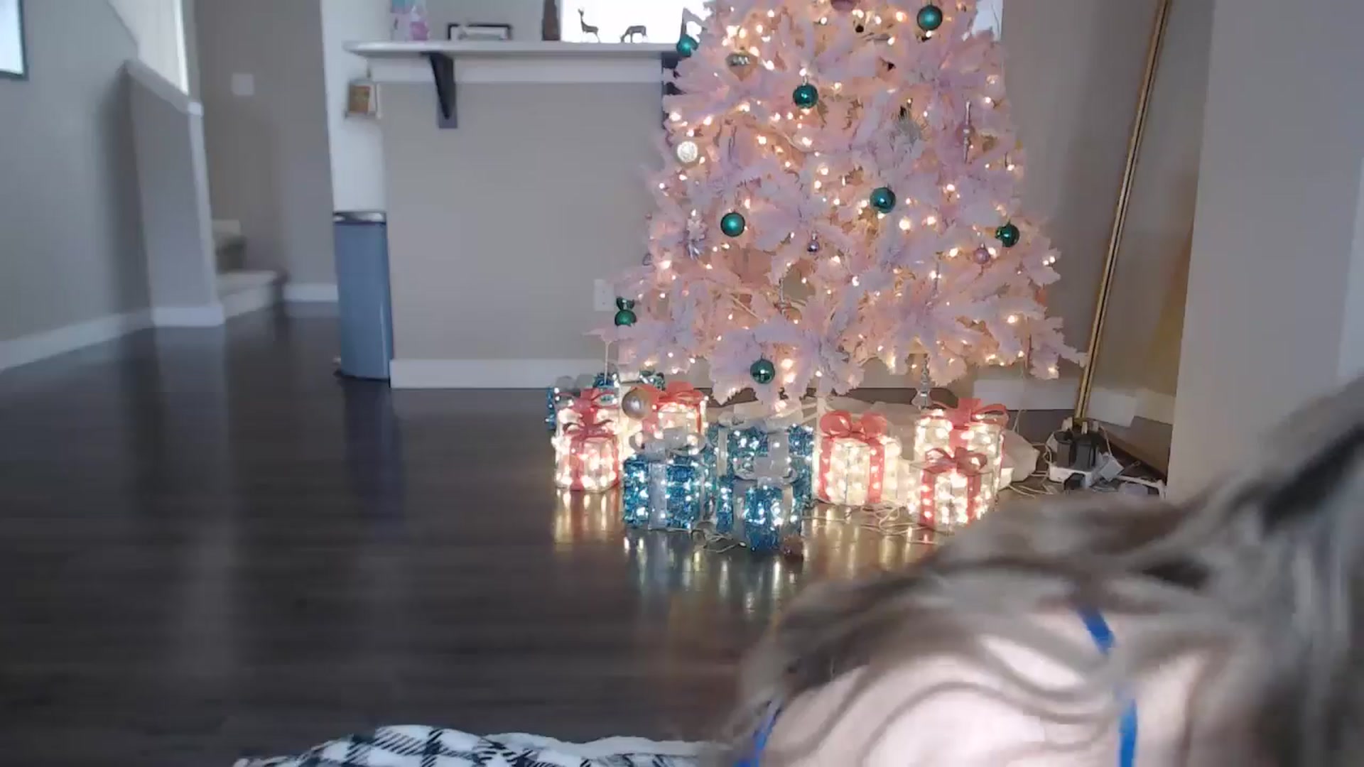 Gallery image thumbnail from AlexisWildest's myfreecams stream on, 12/28/2025, 23:10 image 10 of 20