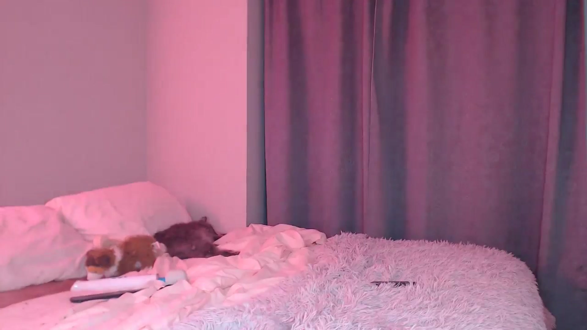 Gallery image thumbnail from AlexisWildest's myfreecams stream on, 01/10/2026, 03:33 image 17 of 20