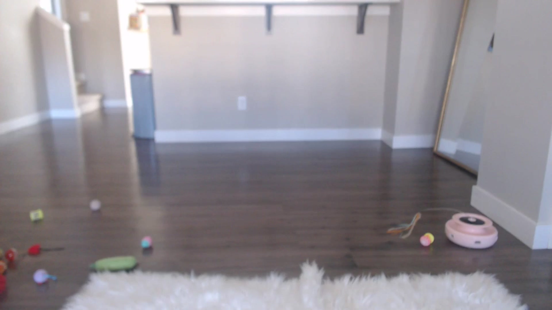 Gallery image thumbnail from AlexisWildest's myfreecams stream on, 02/15/2026, 21:43 image 1 of 20