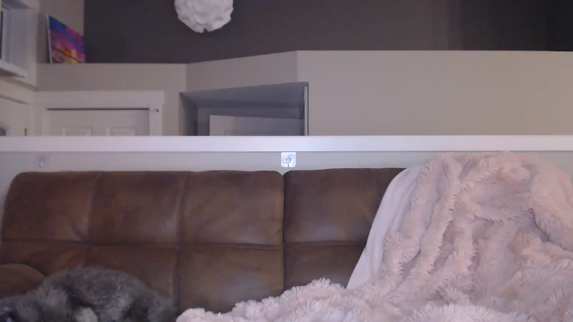Gallery image thumbnail from AlexisWildest's myfreecams stream on, 02/19/2026, 04:35 image 8 of 20