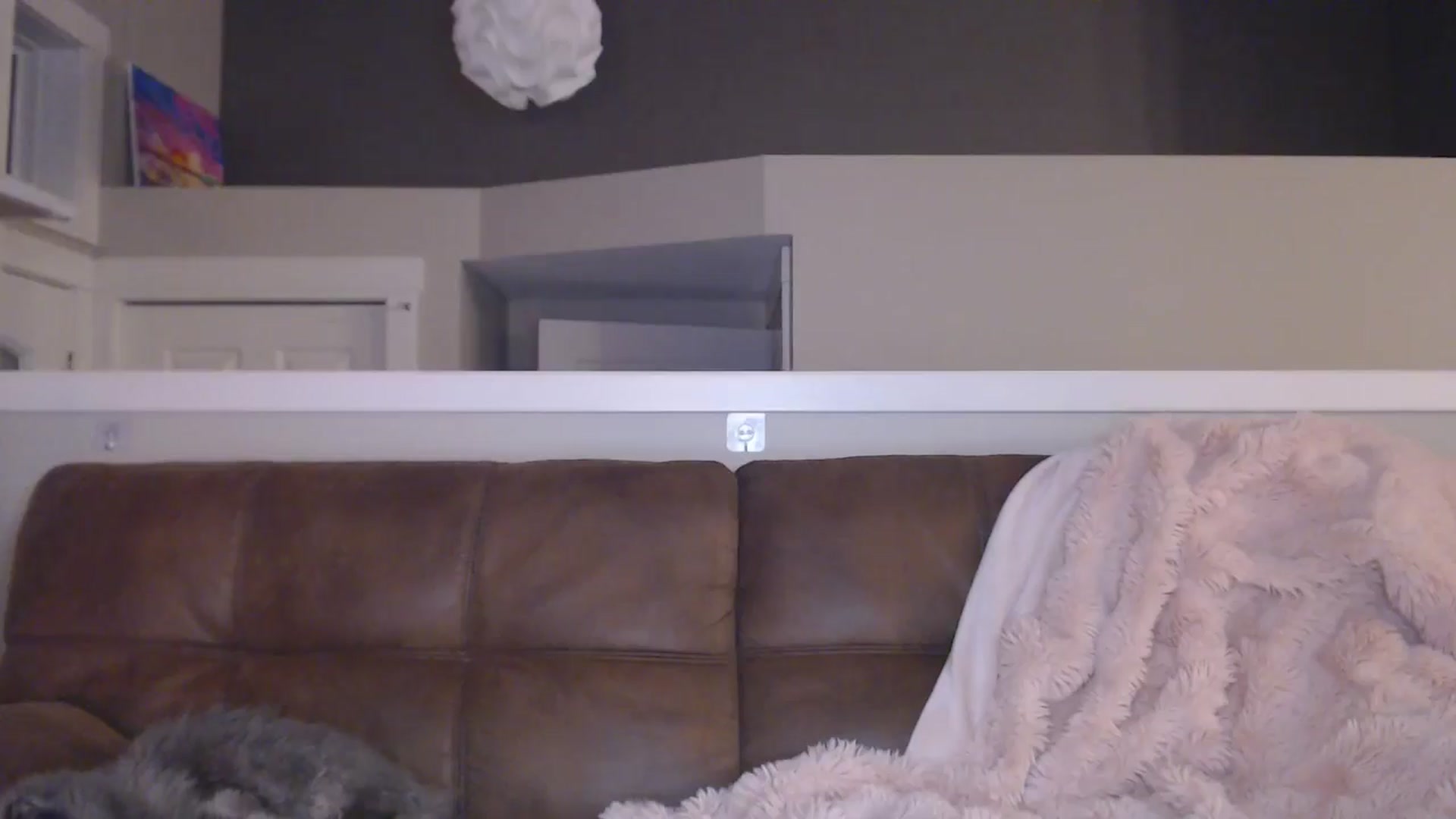 Gallery image thumbnail from AlexisWildest's myfreecams stream on, 02/19/2026, 04:35 image 9 of 20