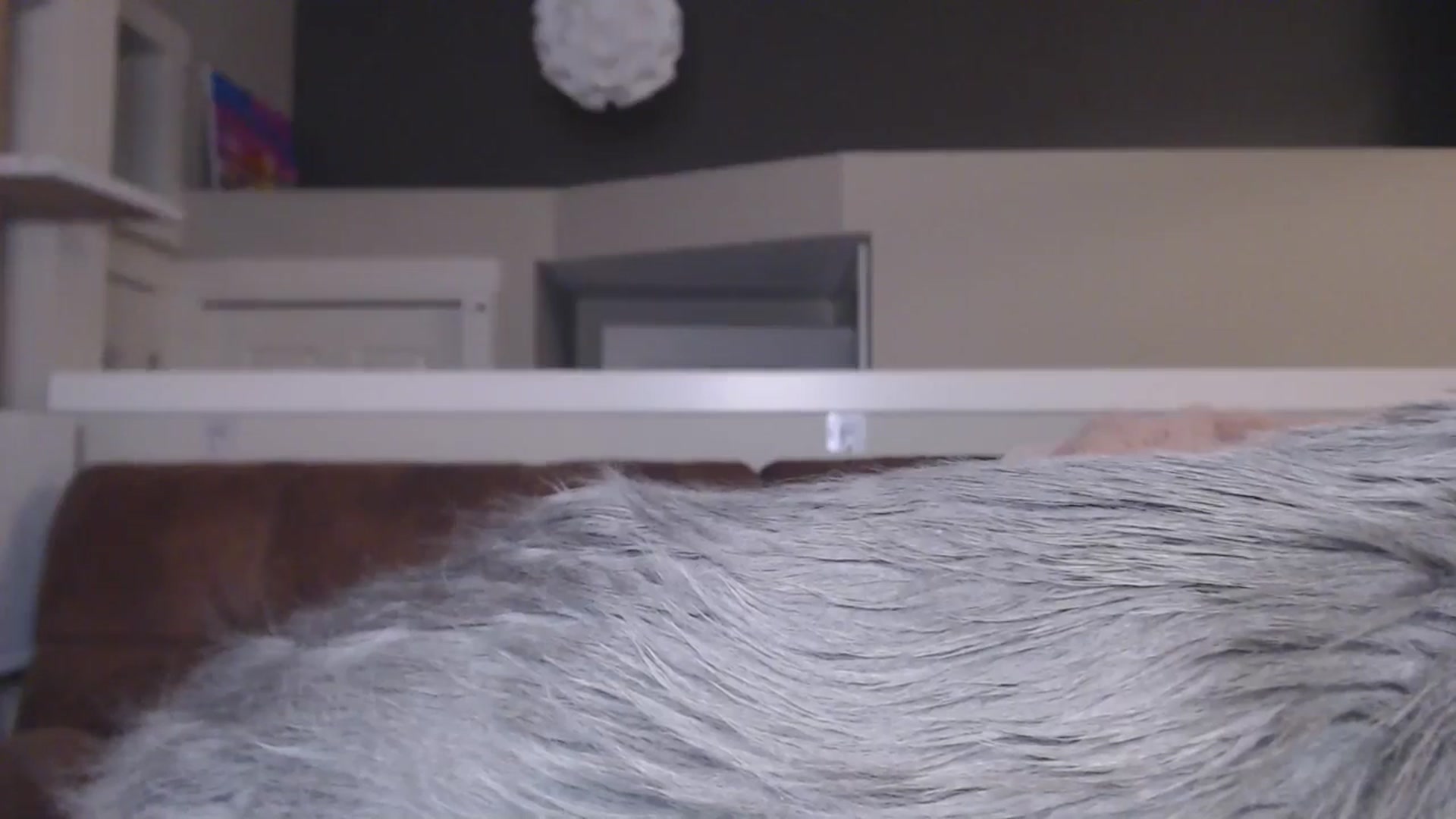 Gallery image thumbnail from AlexisWildest's myfreecams stream on, 02/28/2026, 04:35 image 6 of 20