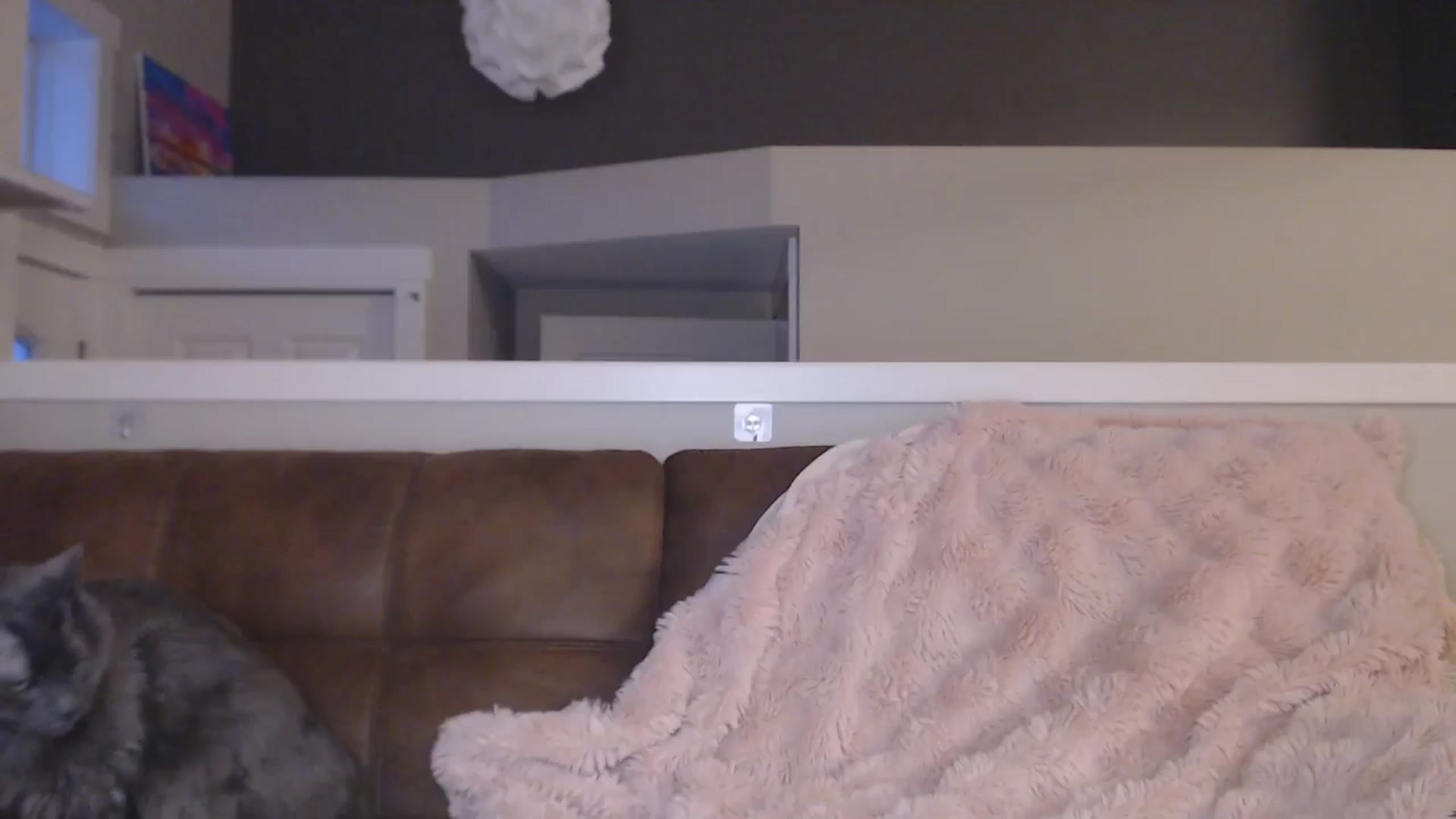 Gallery image thumbnail from AlexisWildest's myfreecams stream on, 02/28/2026, 04:35 image 1 of 20