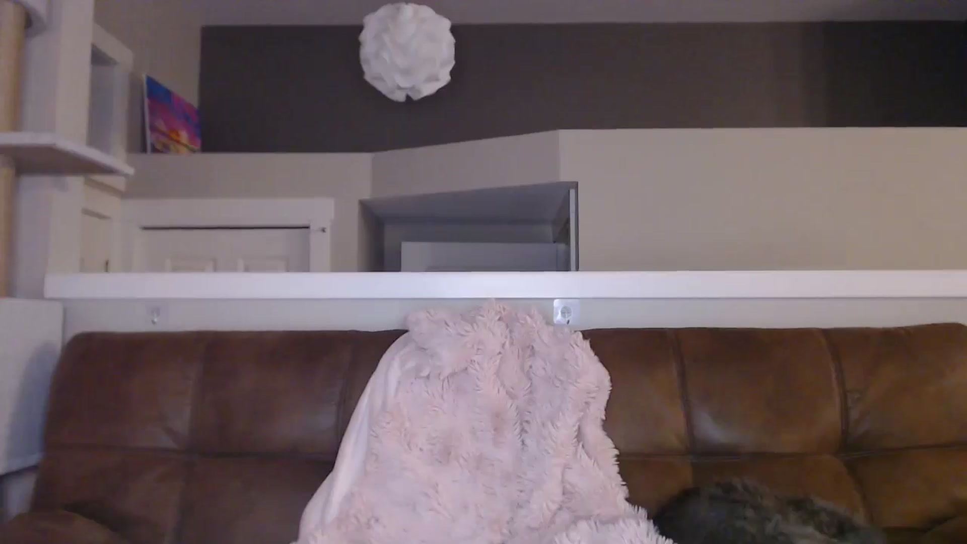 Gallery image thumbnail from AlexisWildest's myfreecams stream on, 03/18/2026, 03:07 image 14 of 20