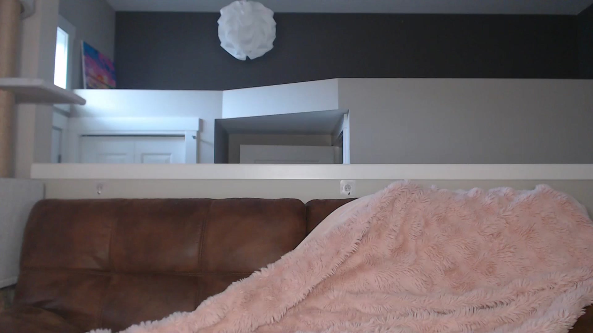 Gallery image thumbnail from AlexisWildest's myfreecams stream on, 03/19/2026, 03:05 image 1 of 20