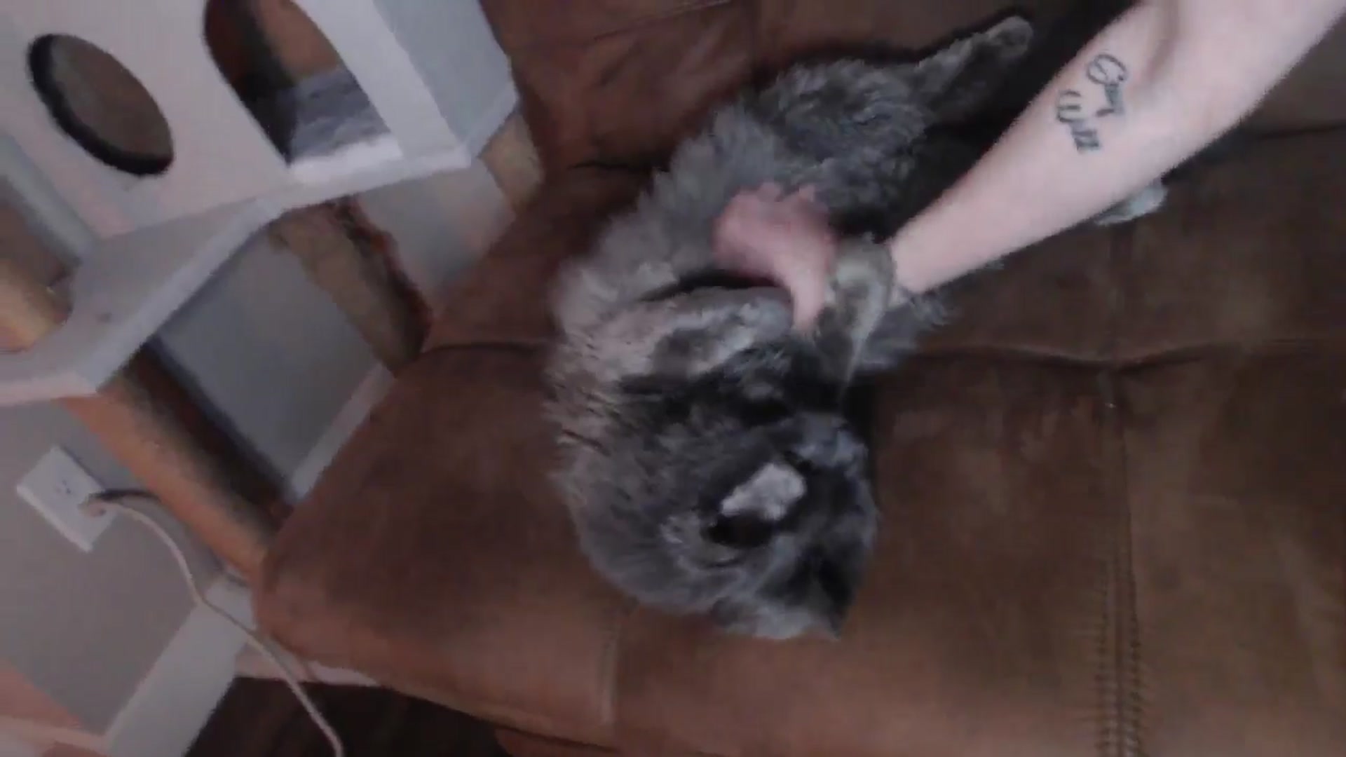 Gallery image thumbnail from AlexisWildest's myfreecams stream on, 04/02/2026, 02:43 image 18 of 20